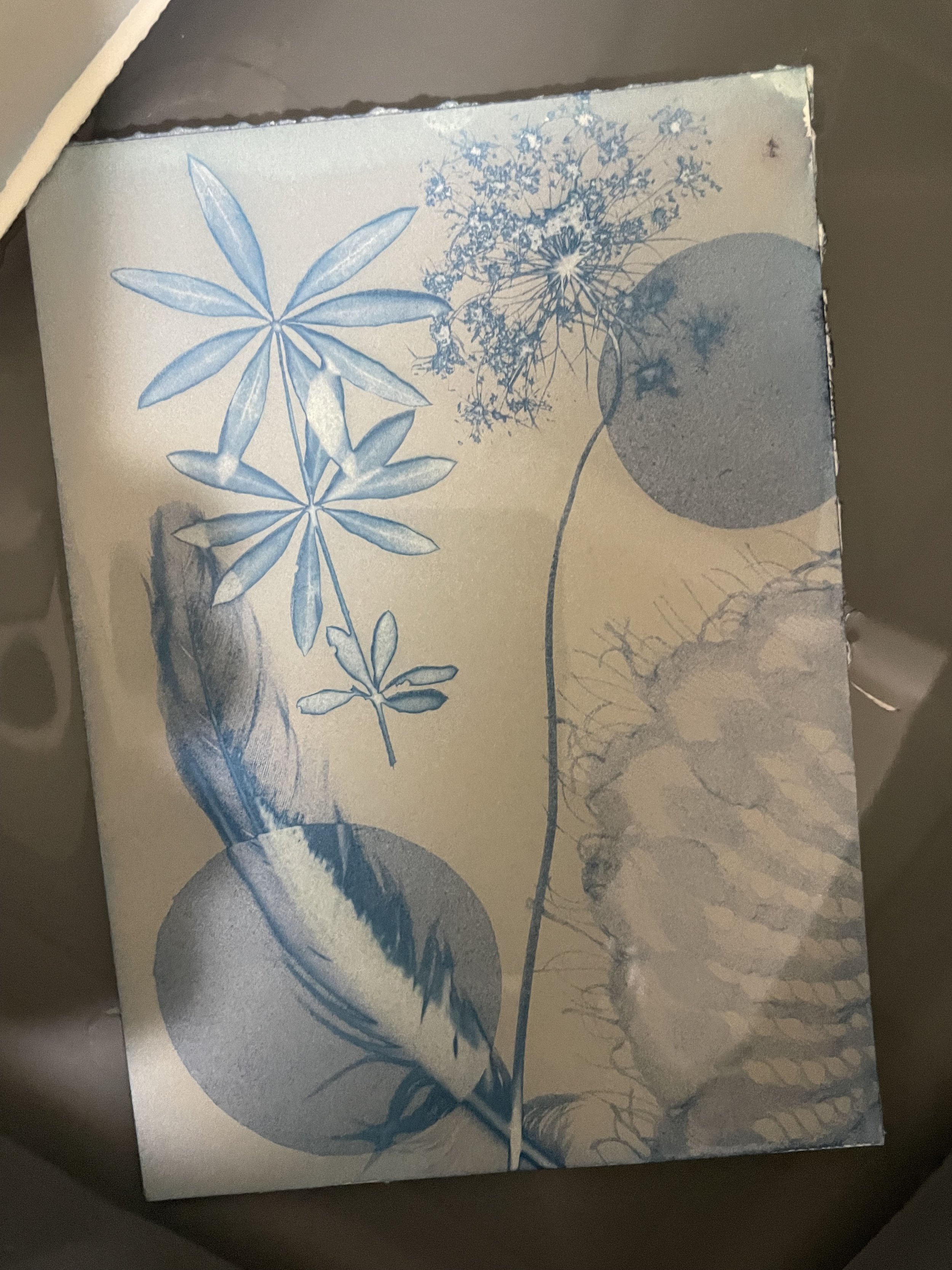 Photo 2023-07-07, 12 02 52 PM.jpg