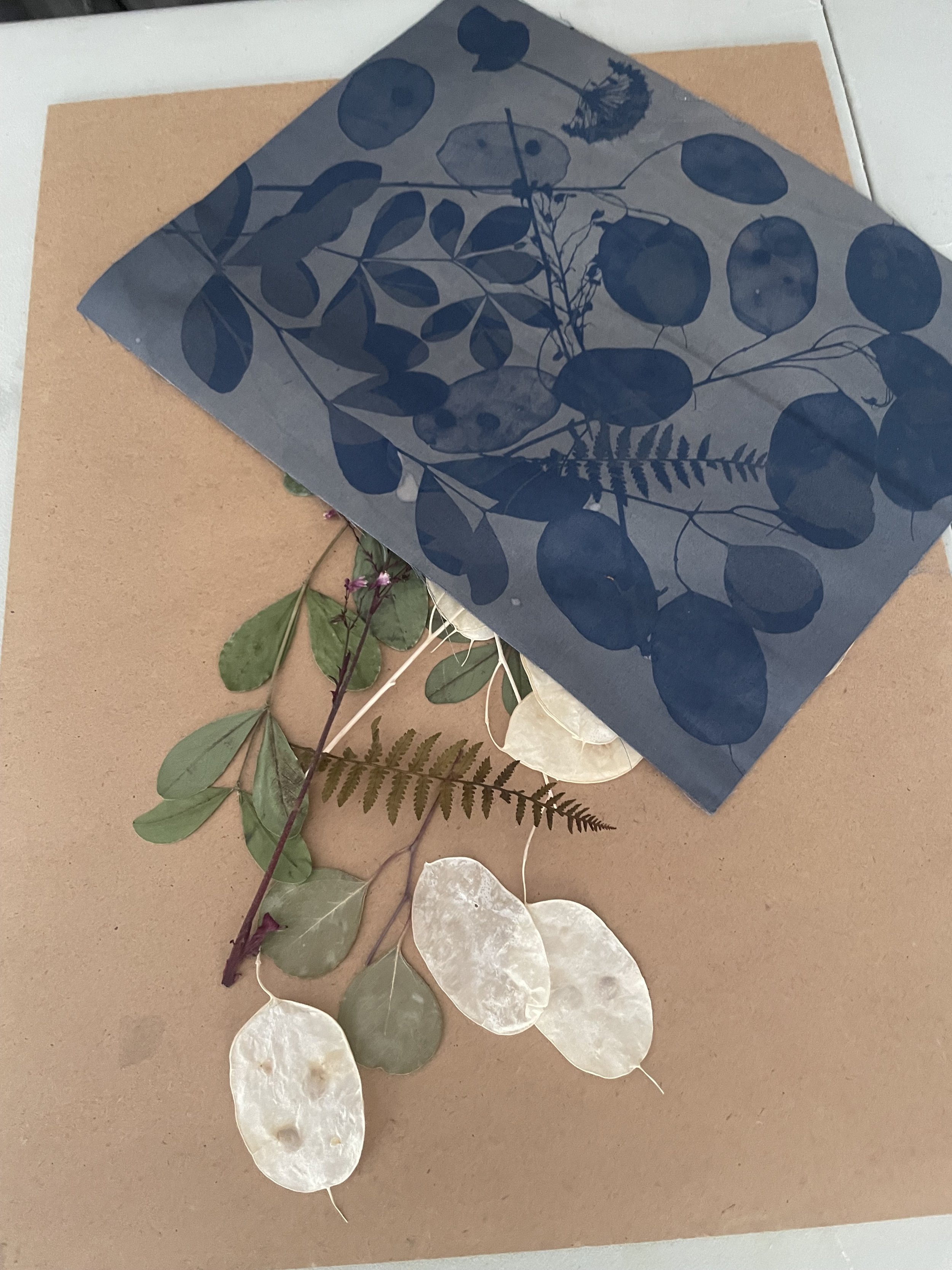 Photo 2023-07-08, 2 42 41 PM.jpg