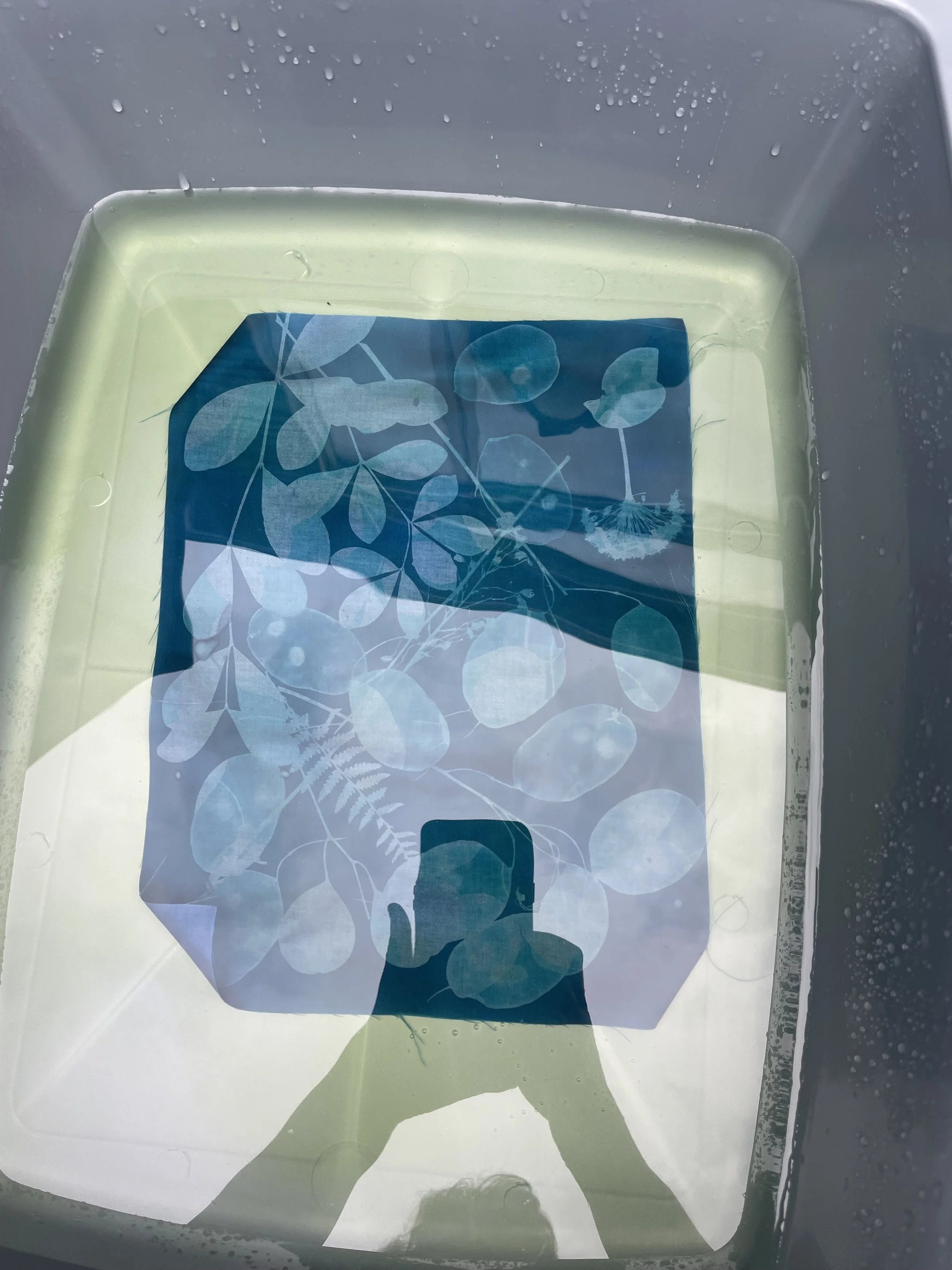 Photo 2023-07-08, 2 43 39 PM.jpg