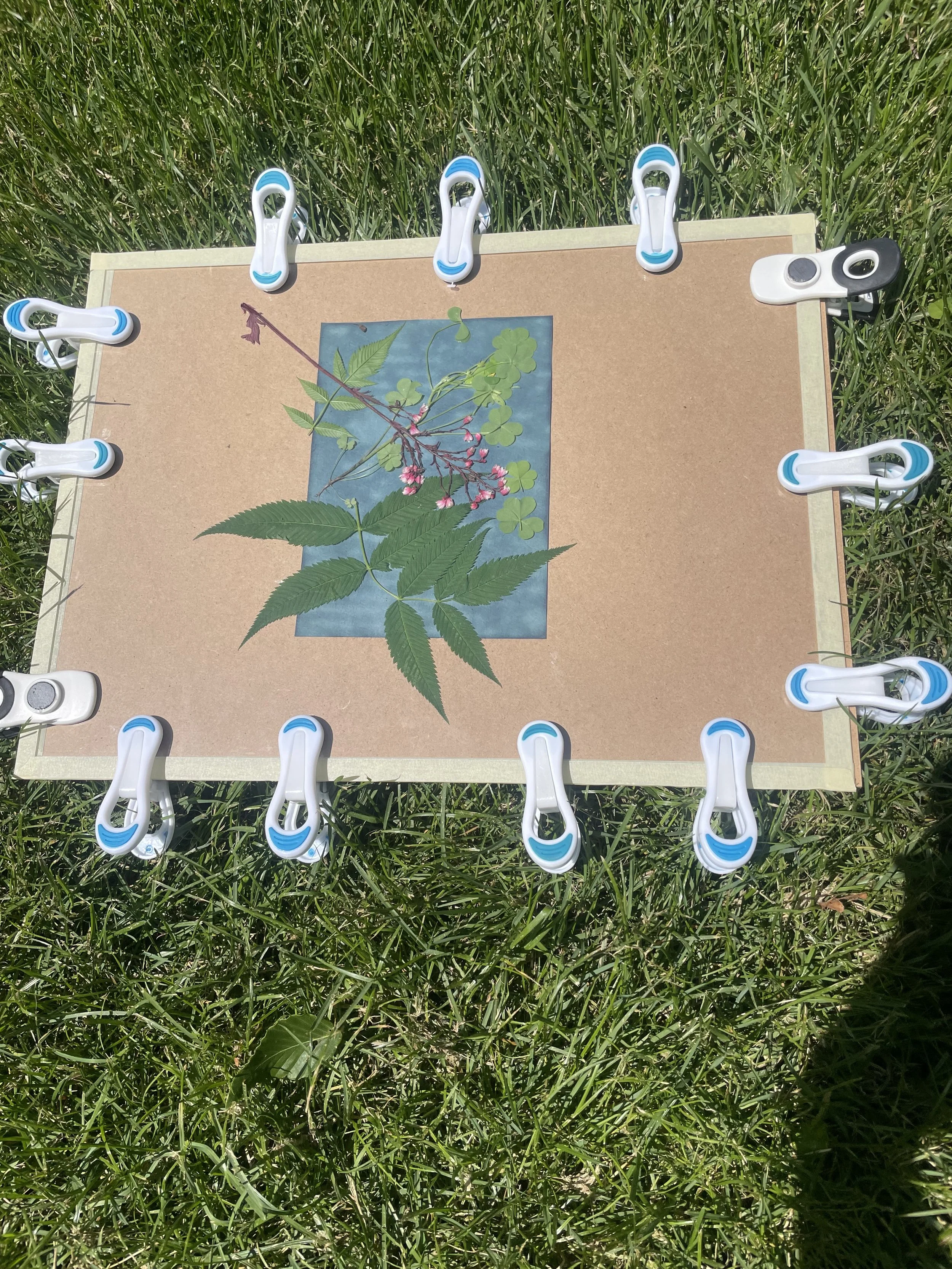 Photo 2023-07-08, 12 16 59 PM.jpg