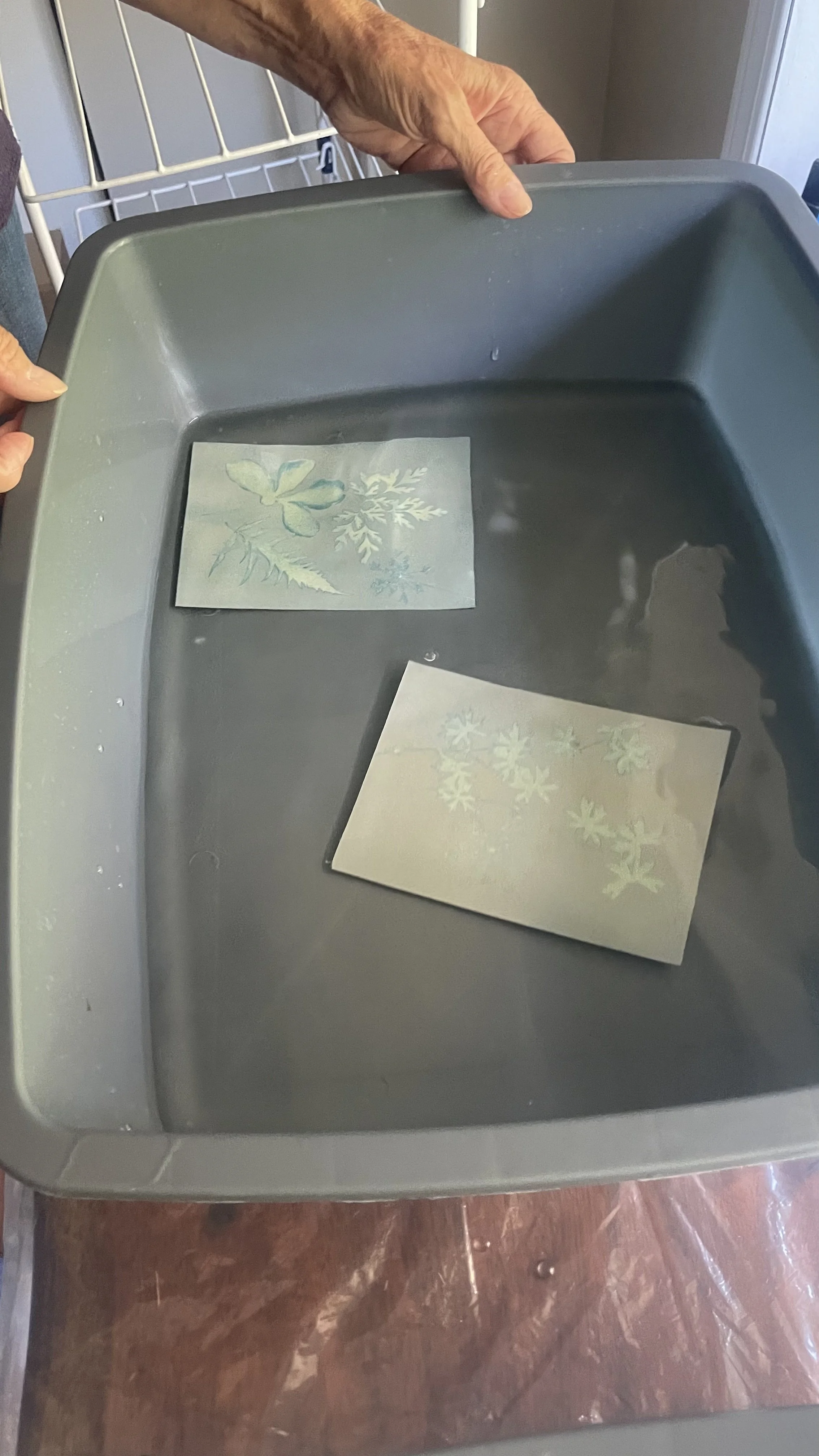 Photo 2023-10-12, 2 02 10 PM.jpg