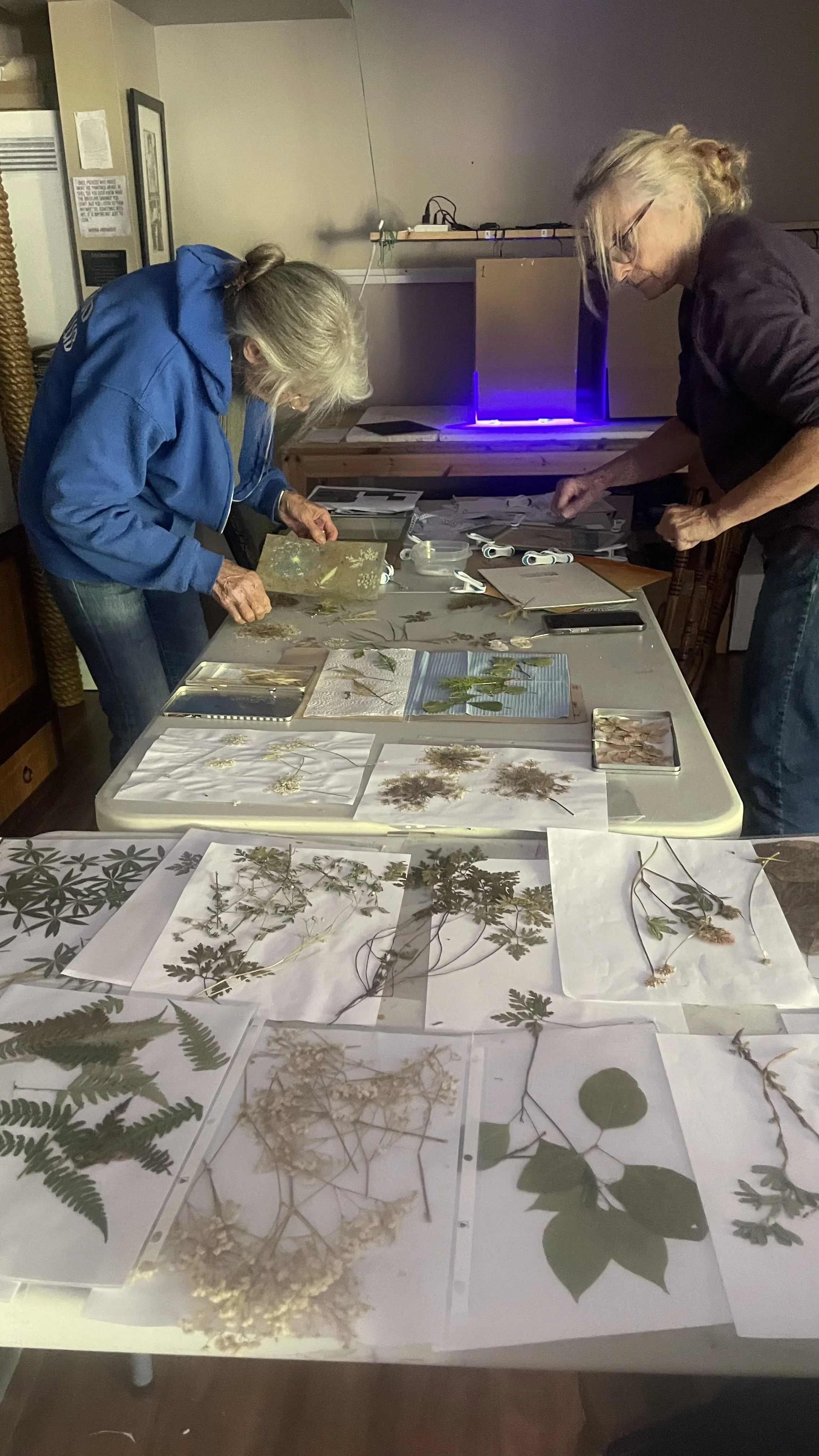 Photo 2023-10-12, 3 09 44 PM.jpg