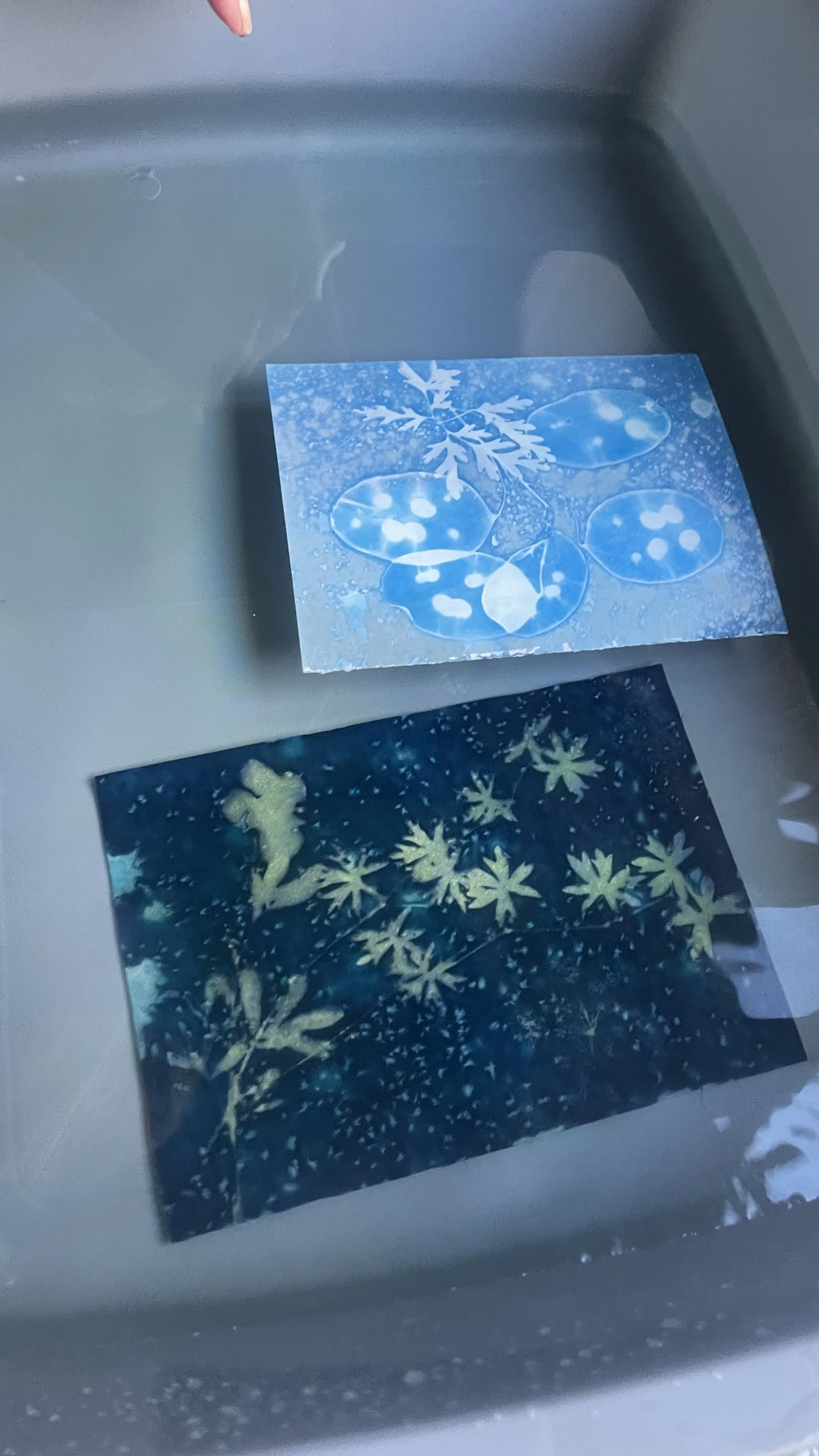 Photo 2023-10-12, 3 28 18 PM.jpg