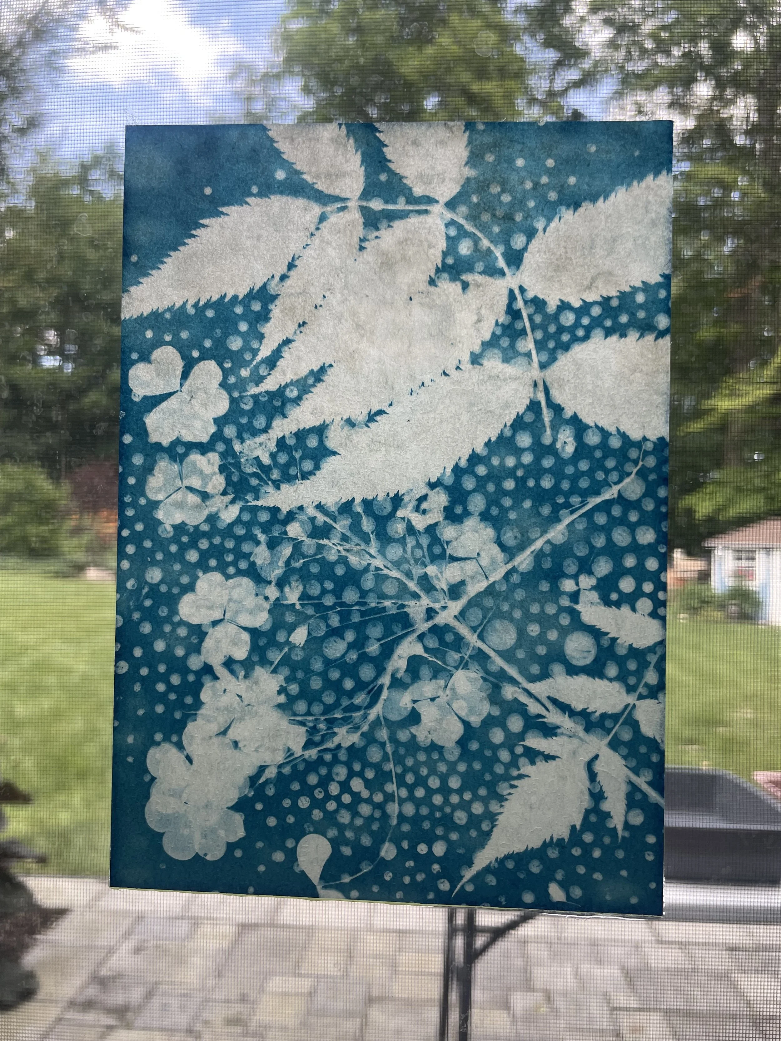Workshop Cyanotype for Adult (Private)