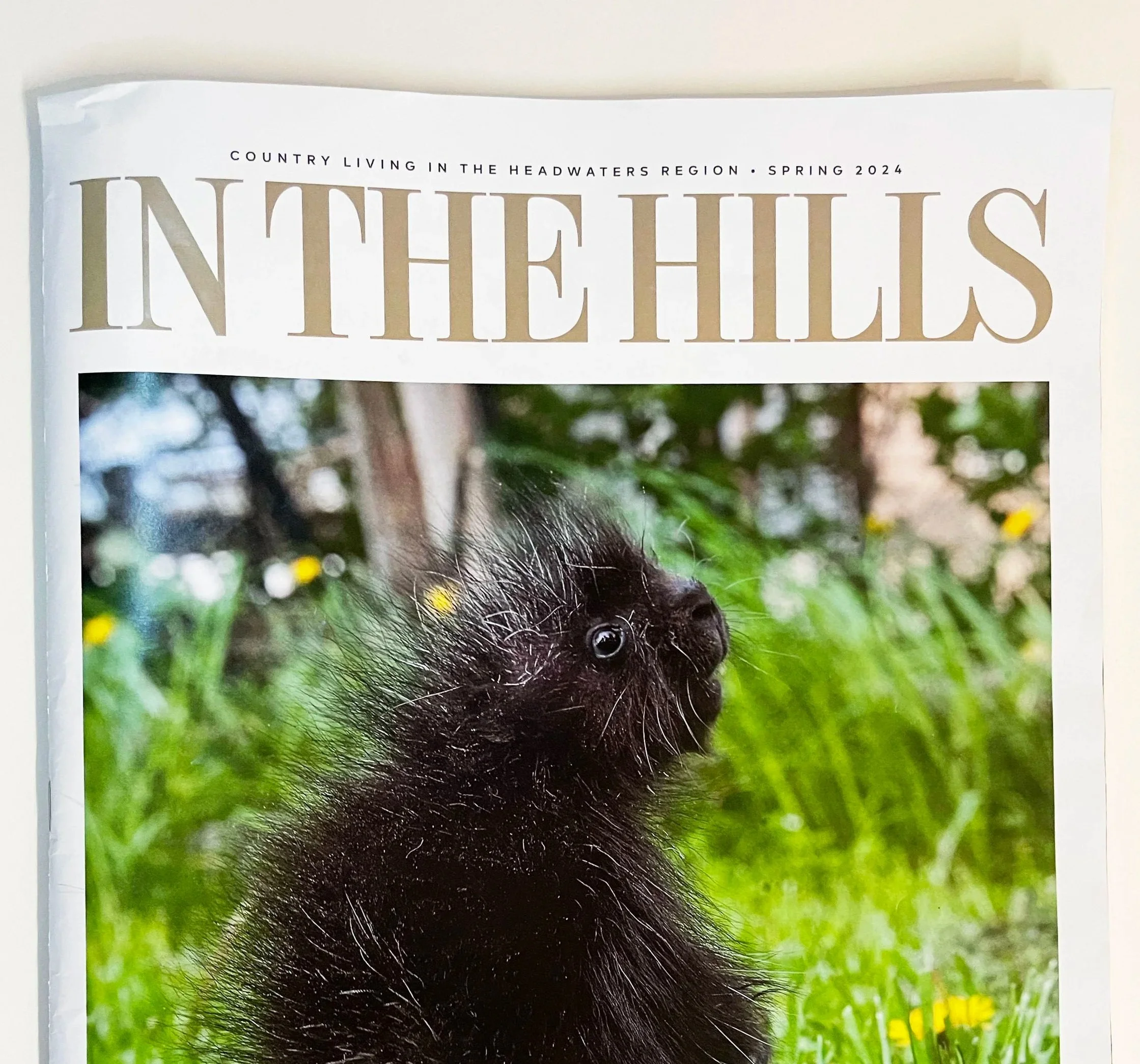 In the Hills Magazine