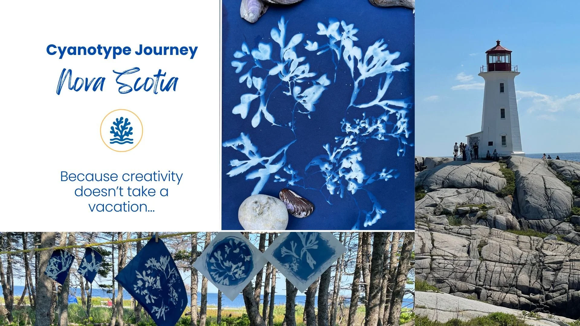 Coastal Experiments: Exploring Seaweed and Algae Through Cyanotype