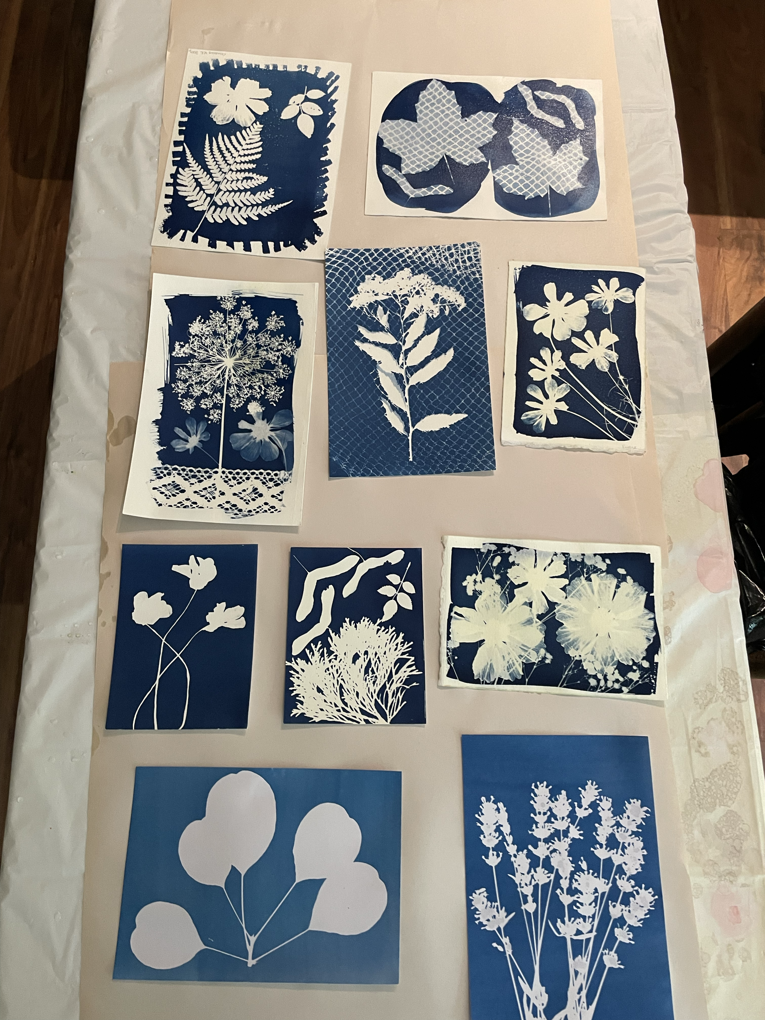  Cyanotype on Paper Workshop 2026