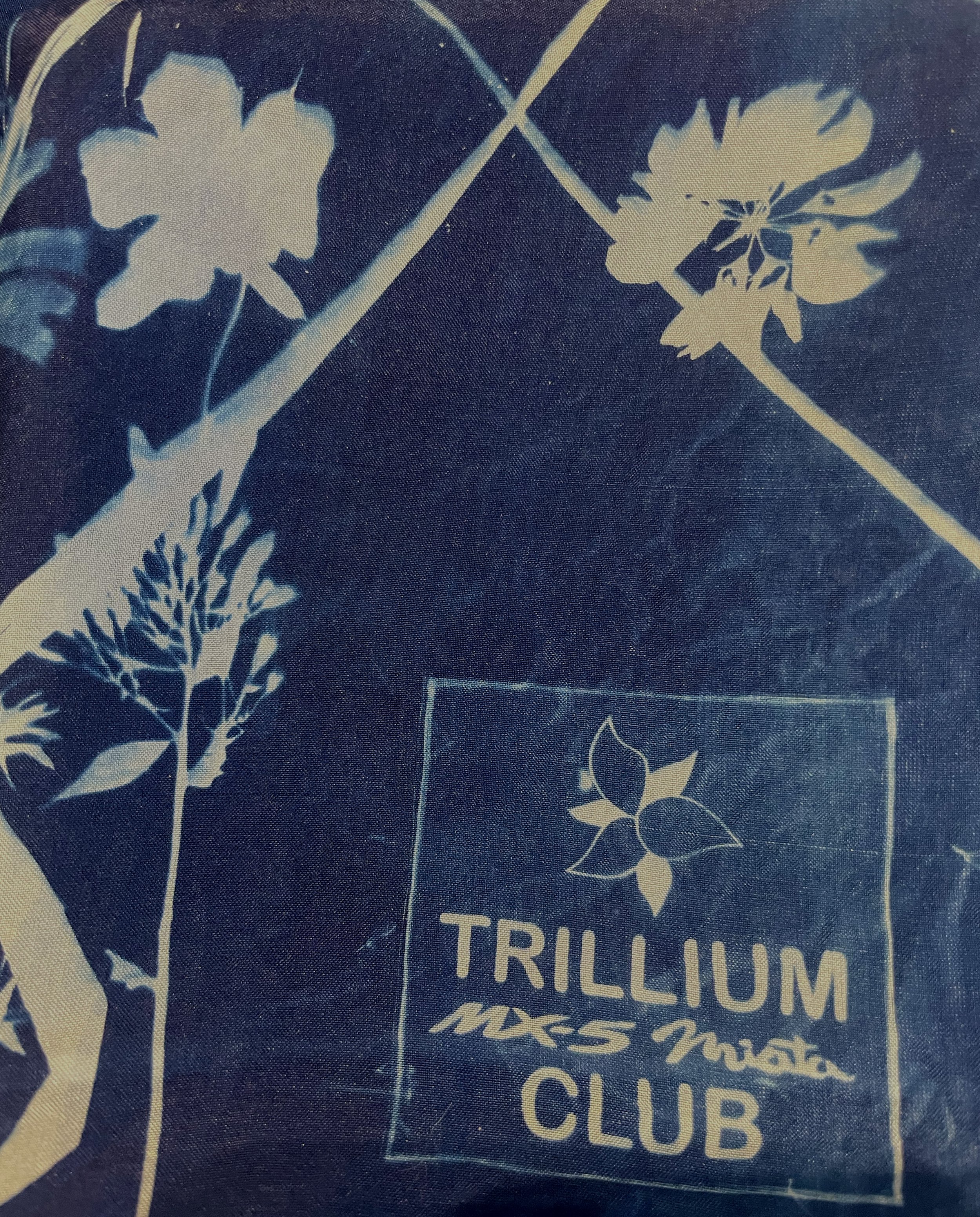 Echoes of the Forest - Commission