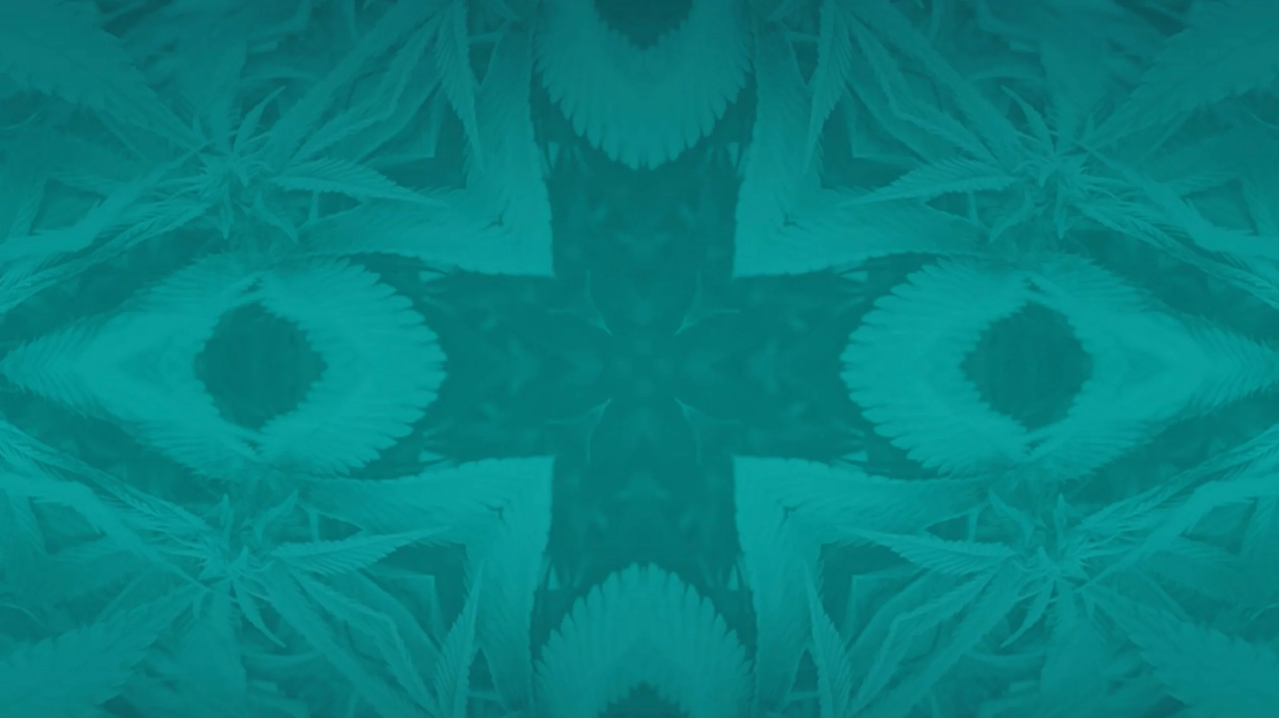 hive-dispensary