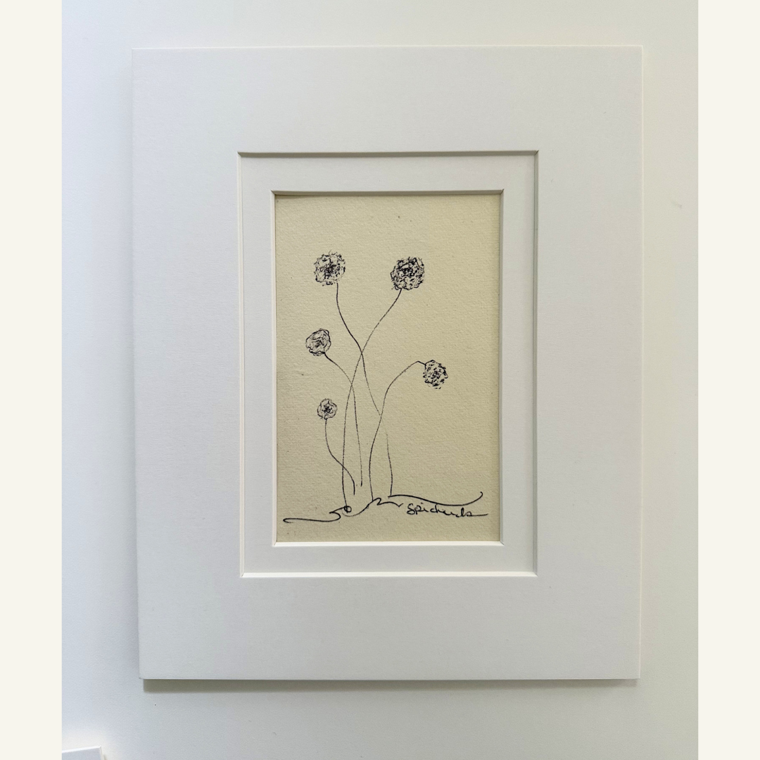 Allium