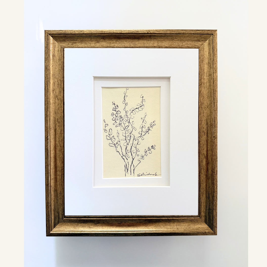 Eucalyptus framed.png
