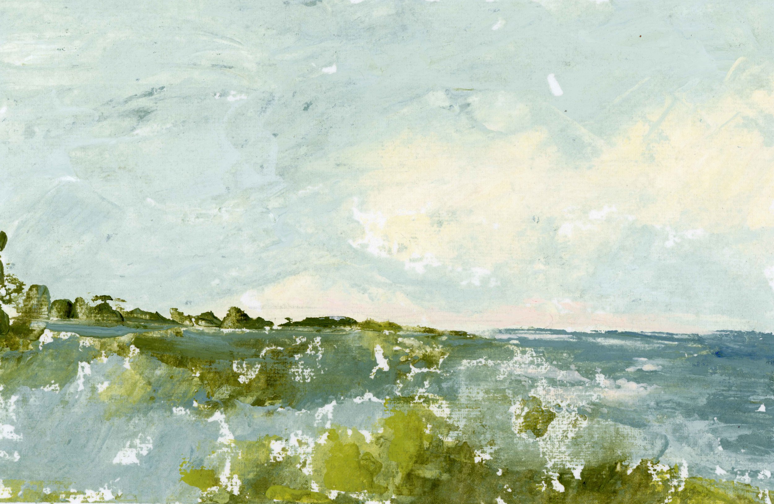Delphinium coastal (6x8)