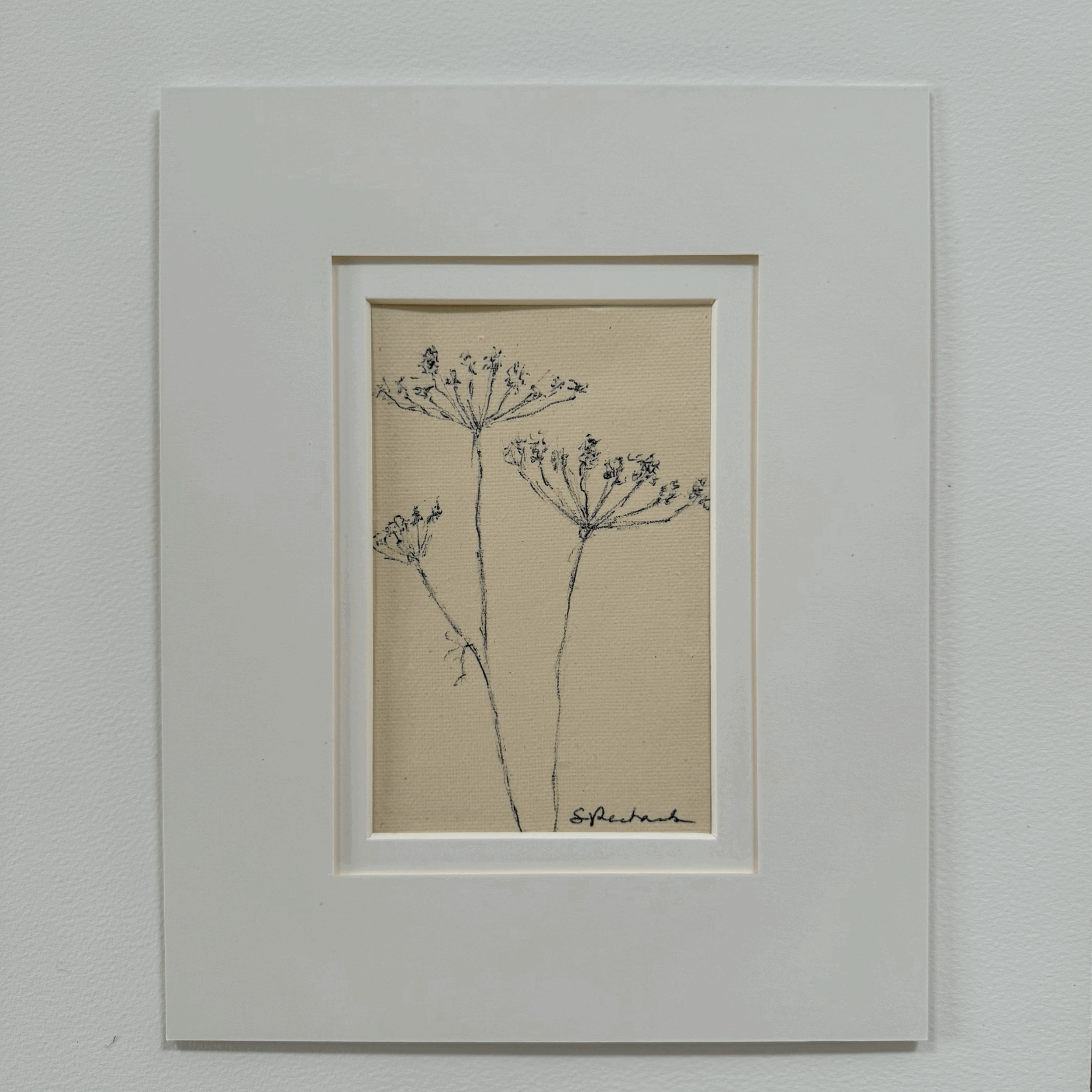 Drawn to the Simple 5