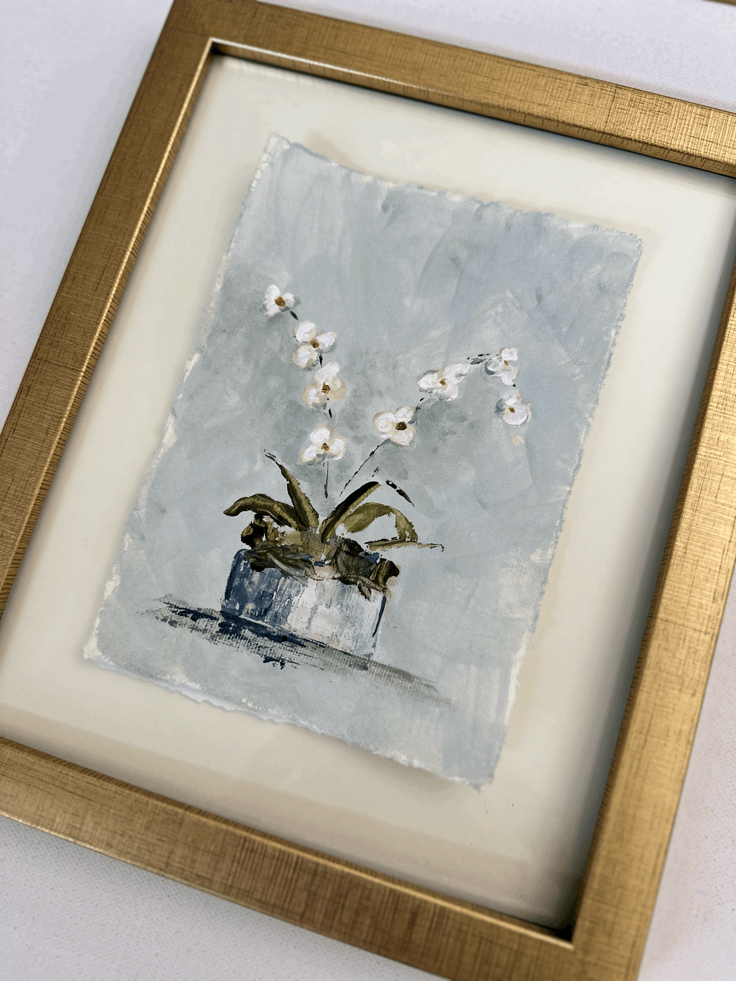 Modern Orchid.gif