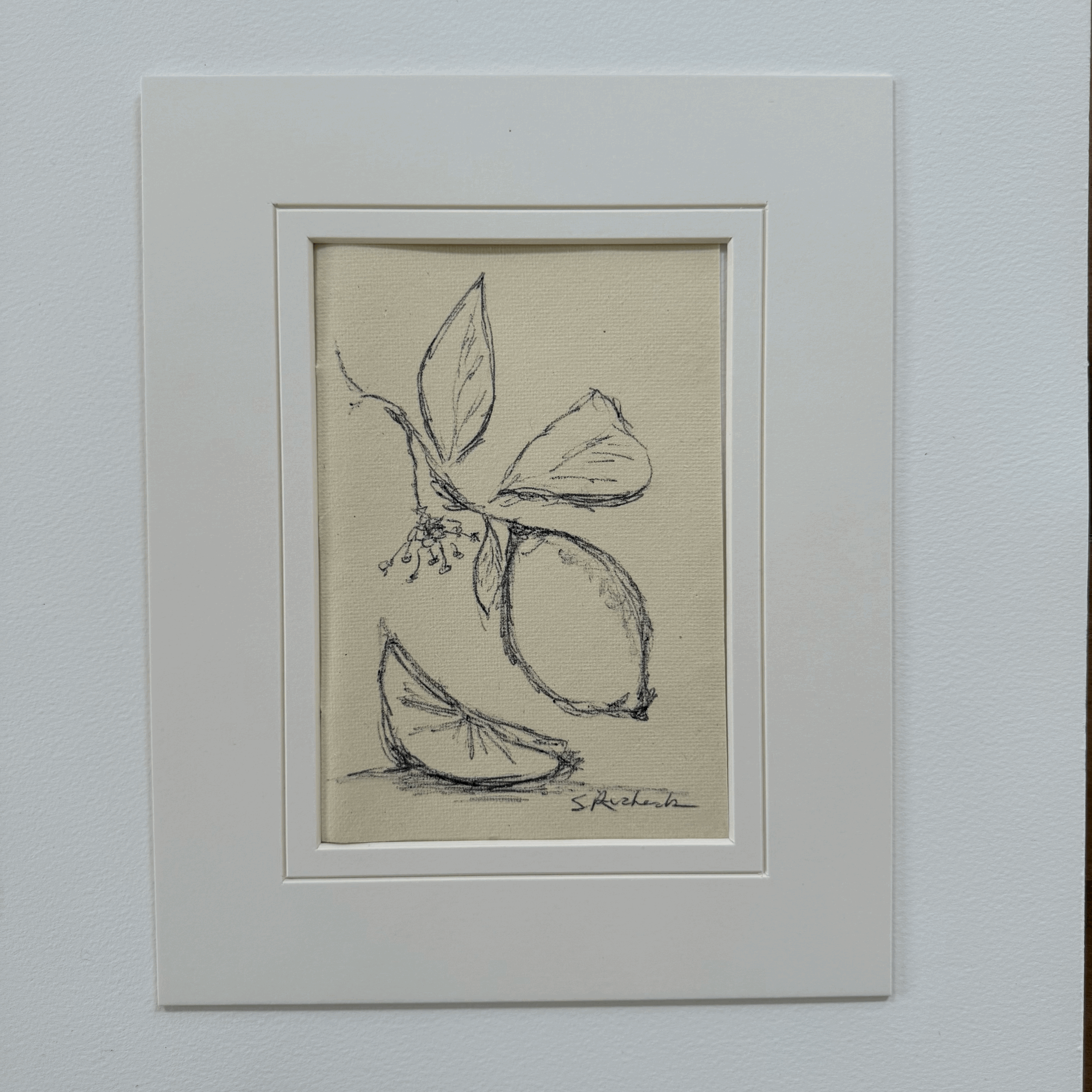 Drawn to the Simple 10