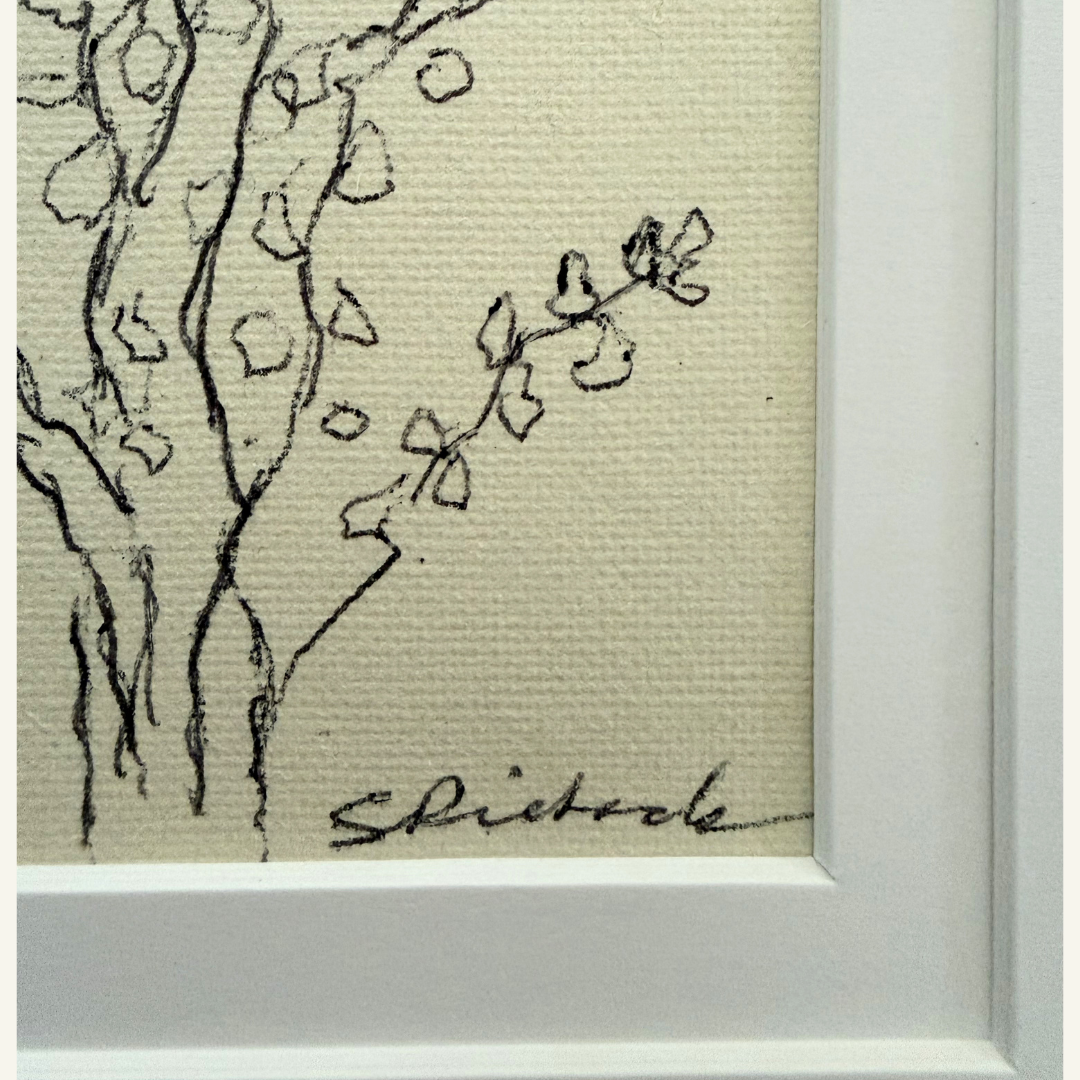 Eucalyptus signed.png