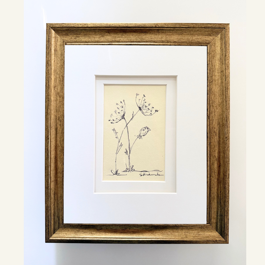 Queen Annes Lace framed.png