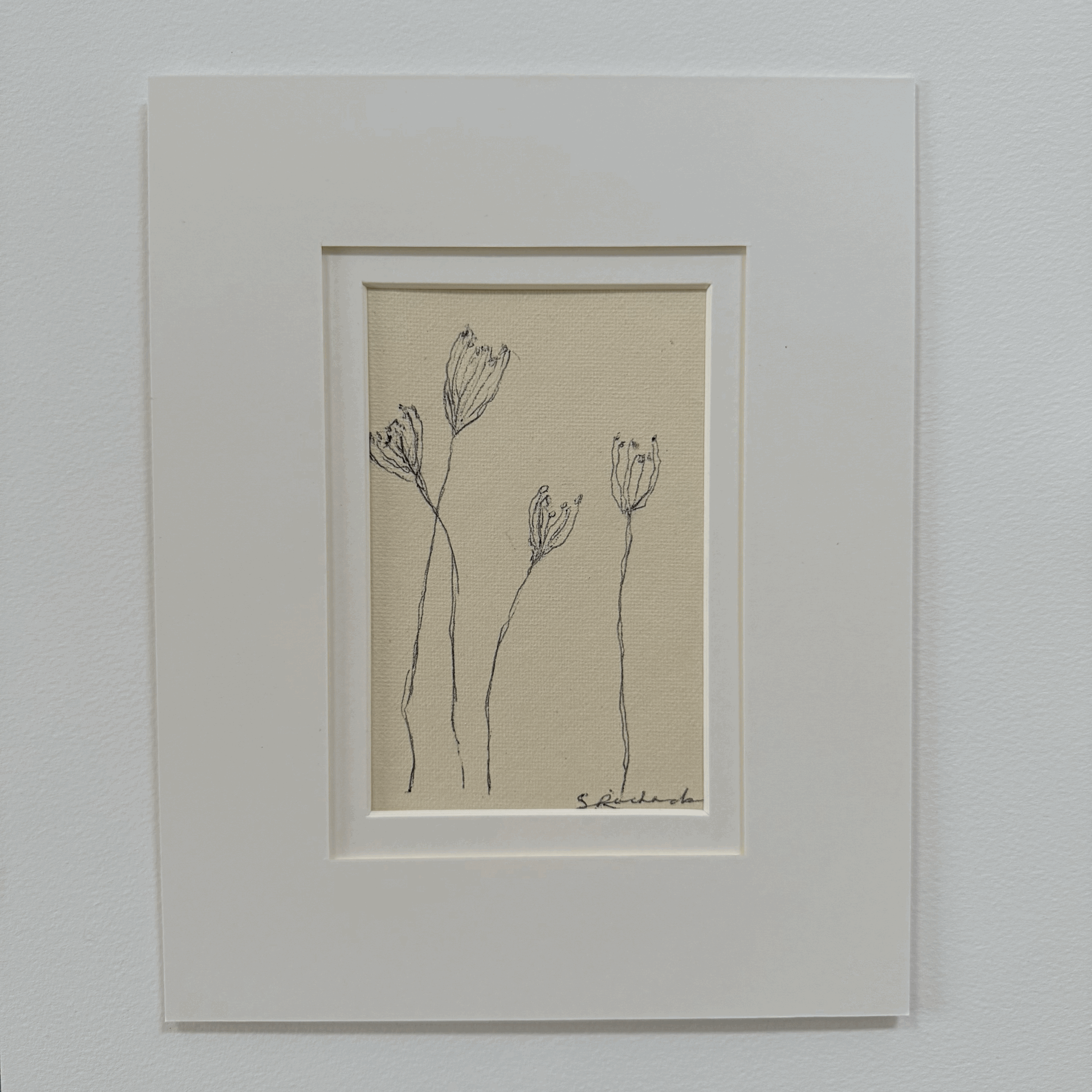 Drawn to the Simple 6