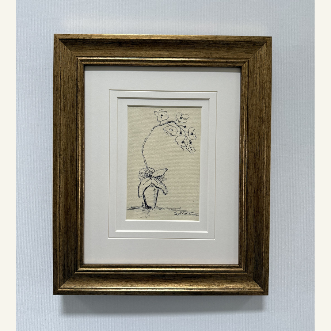 Drawn to the Simple 14.png