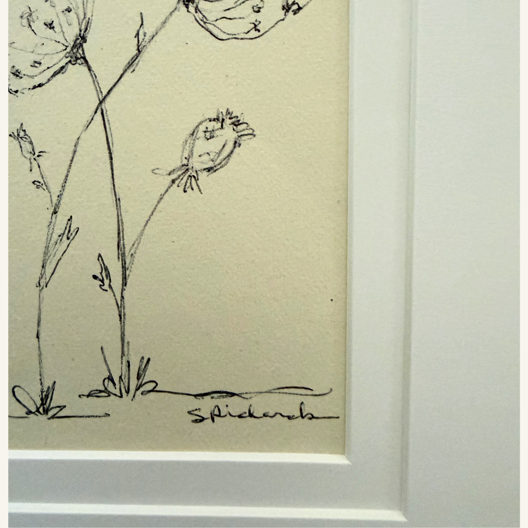 Queen Annes Lace signed.png