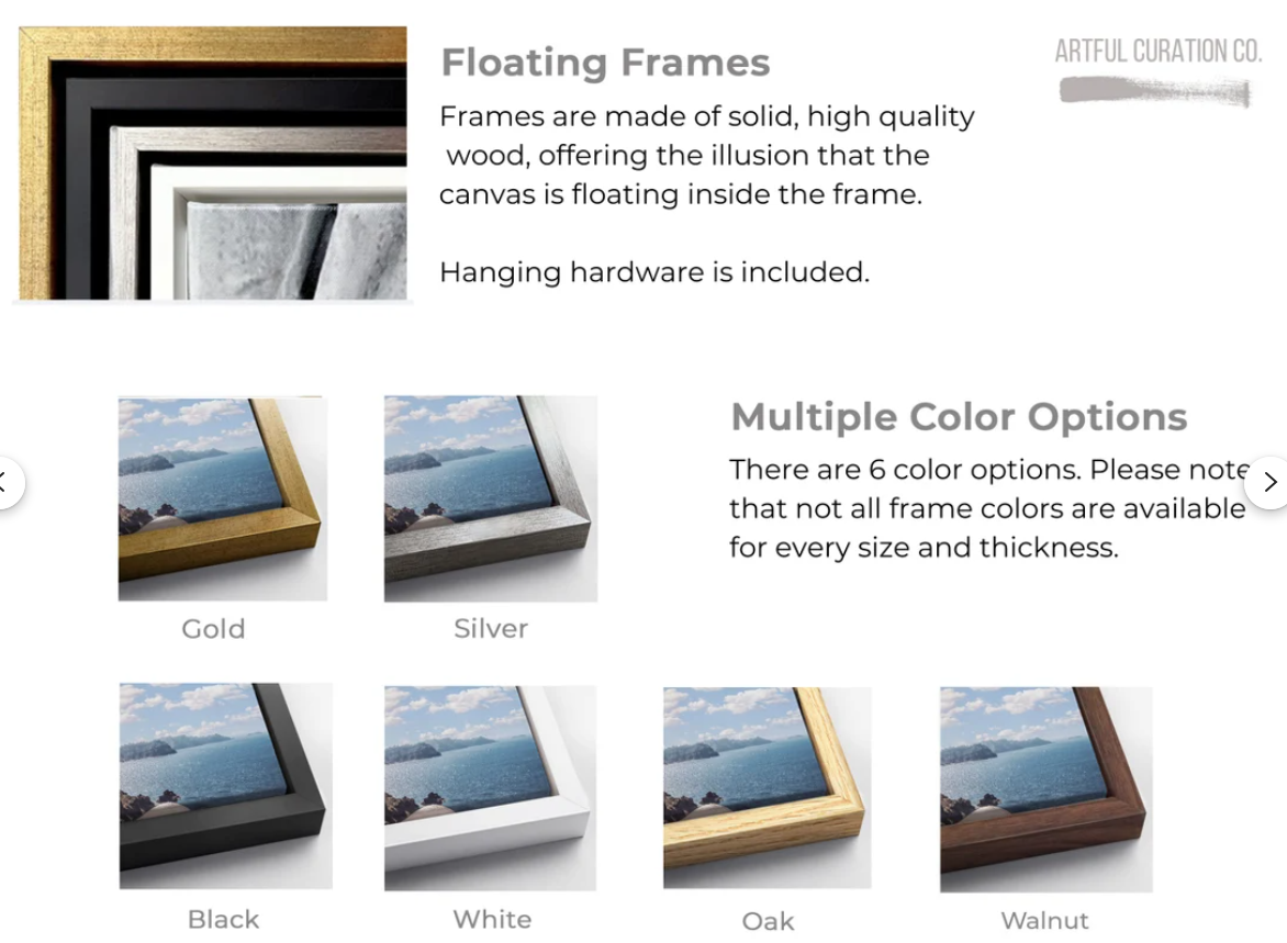 Frame options close up.png