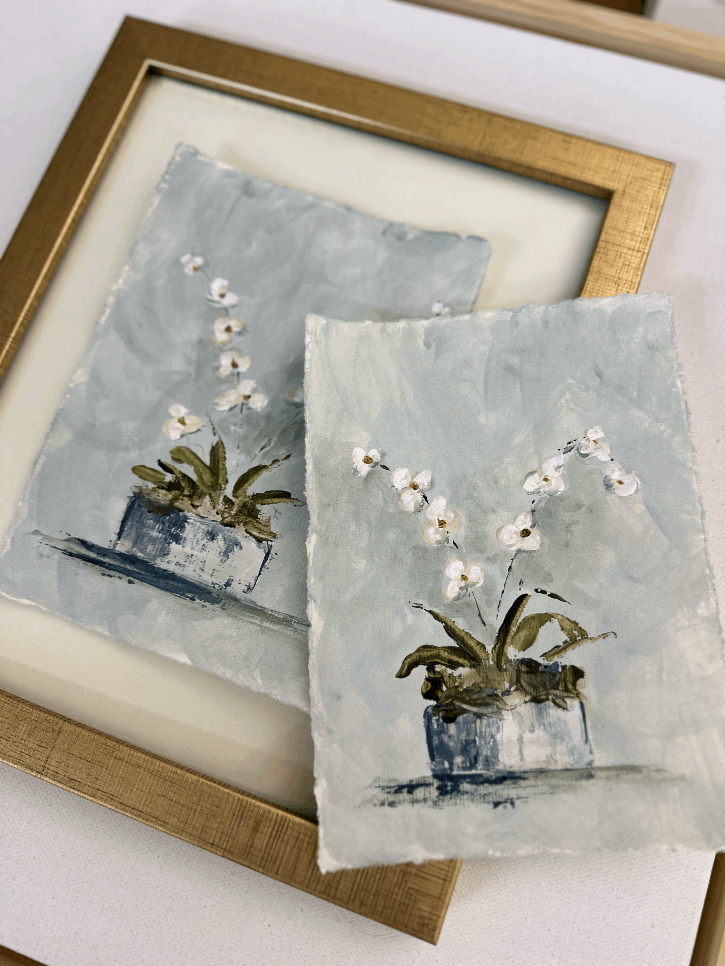 Modern Orchids.gif