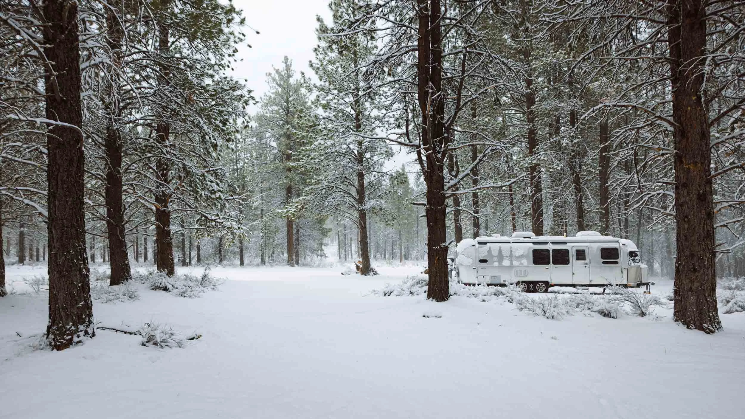 airstream-travel-trailer-forest-winter-snow.JPG