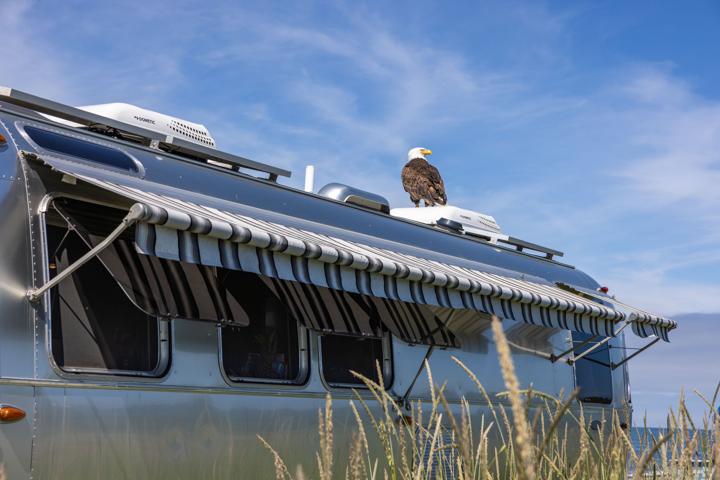 airstream-travel-trailer-awning-bald-eagle.JPG