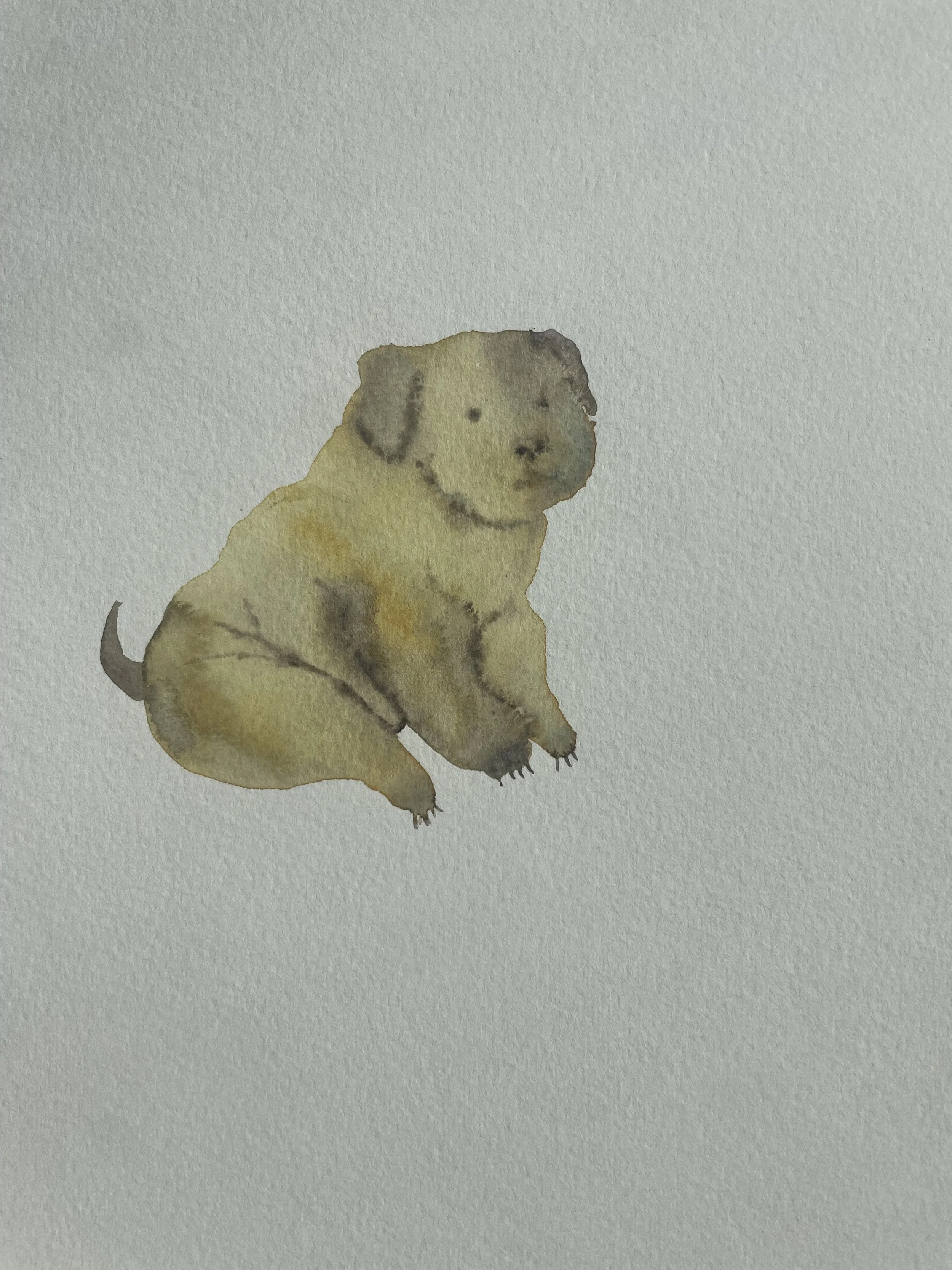 Lil Potato (the dog)