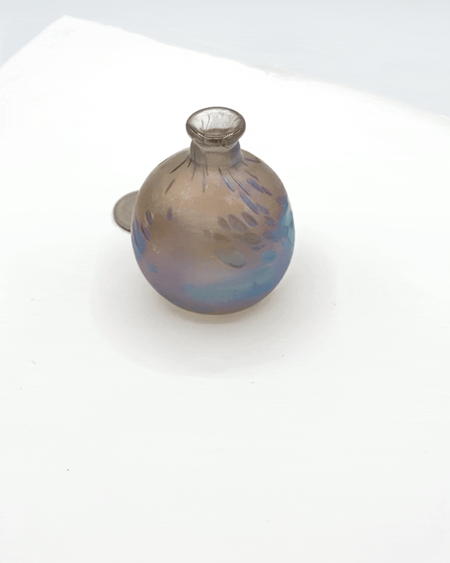 IMG_1309.gif