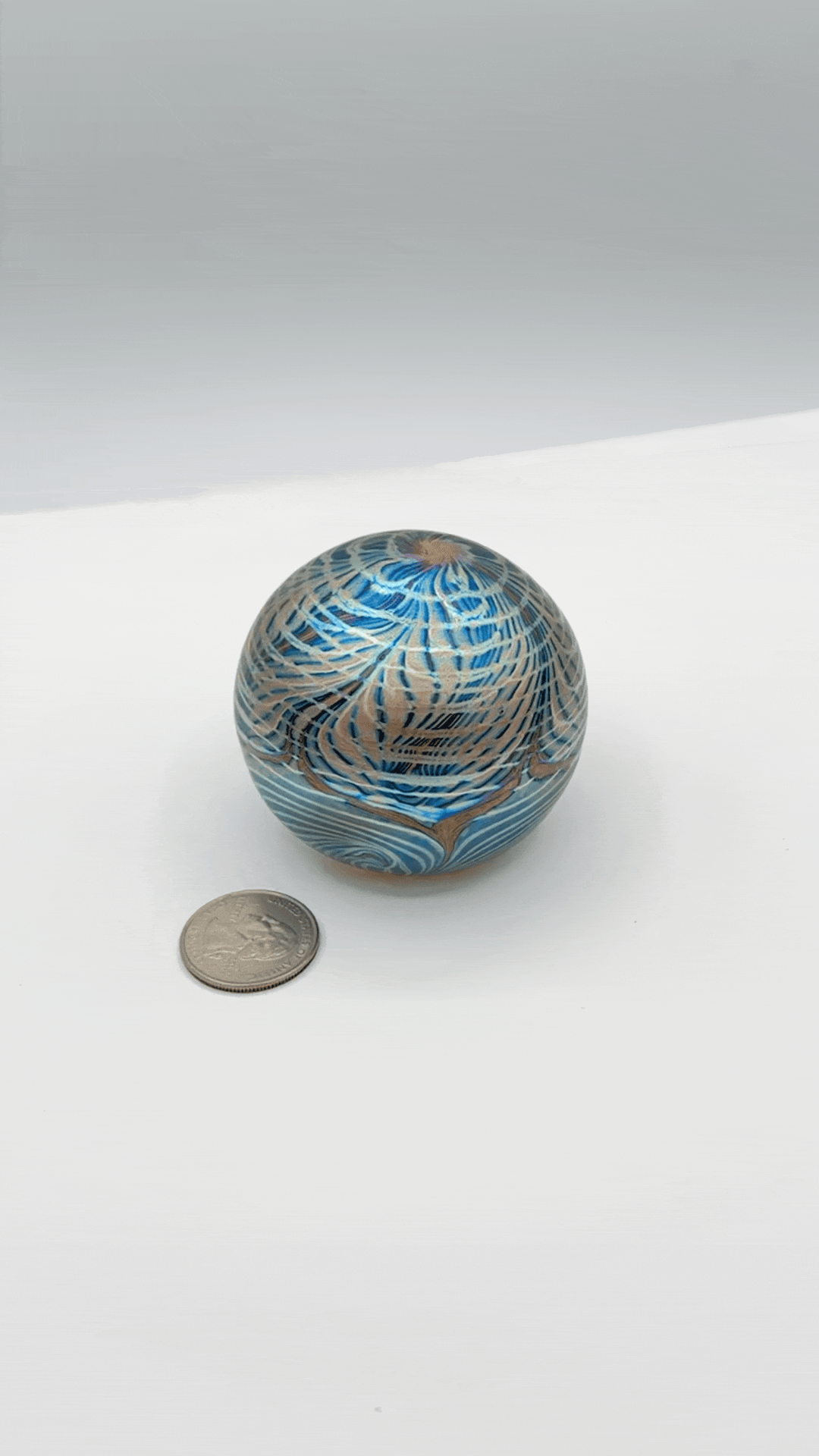IMG_8052.gif