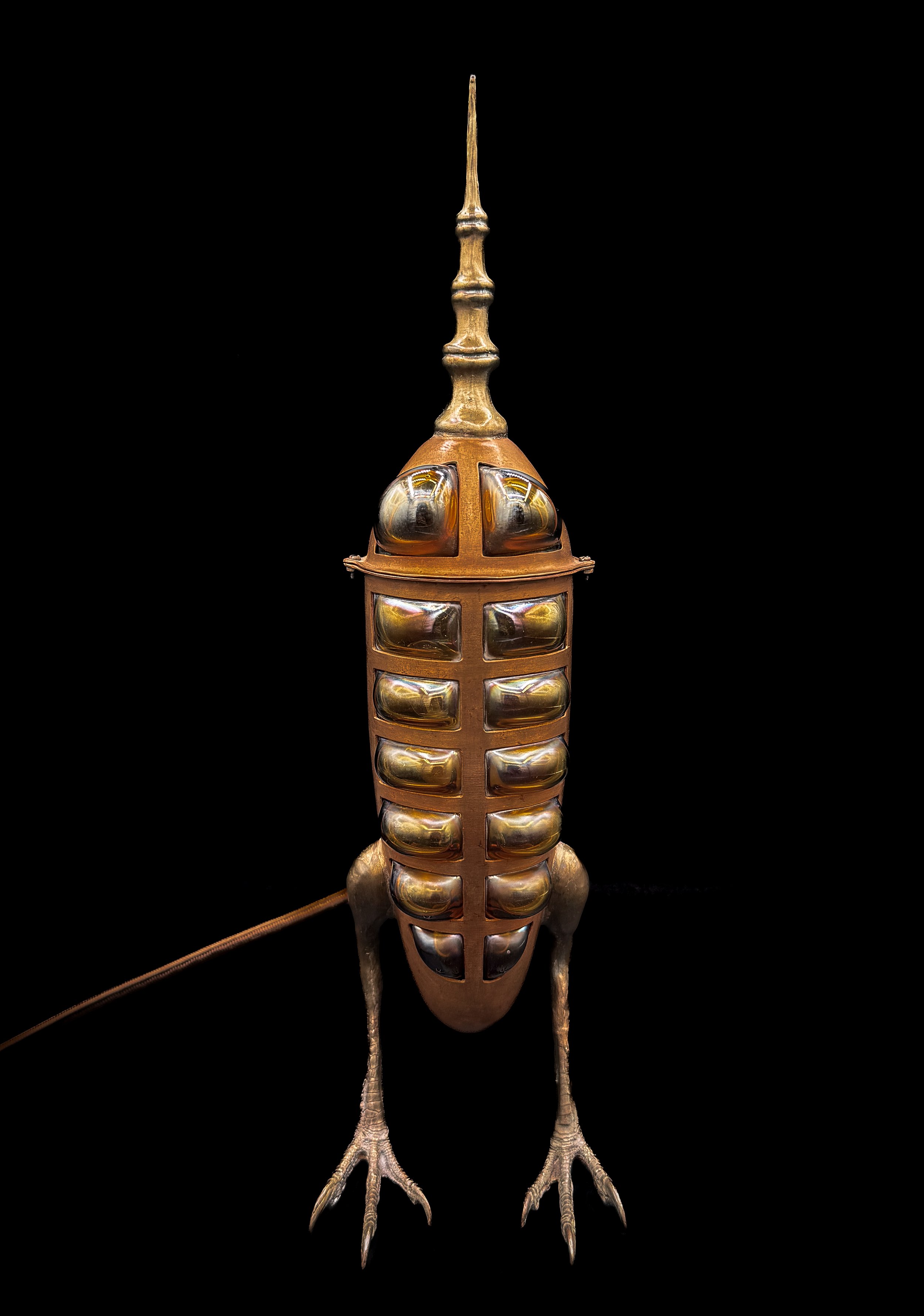 Cicada