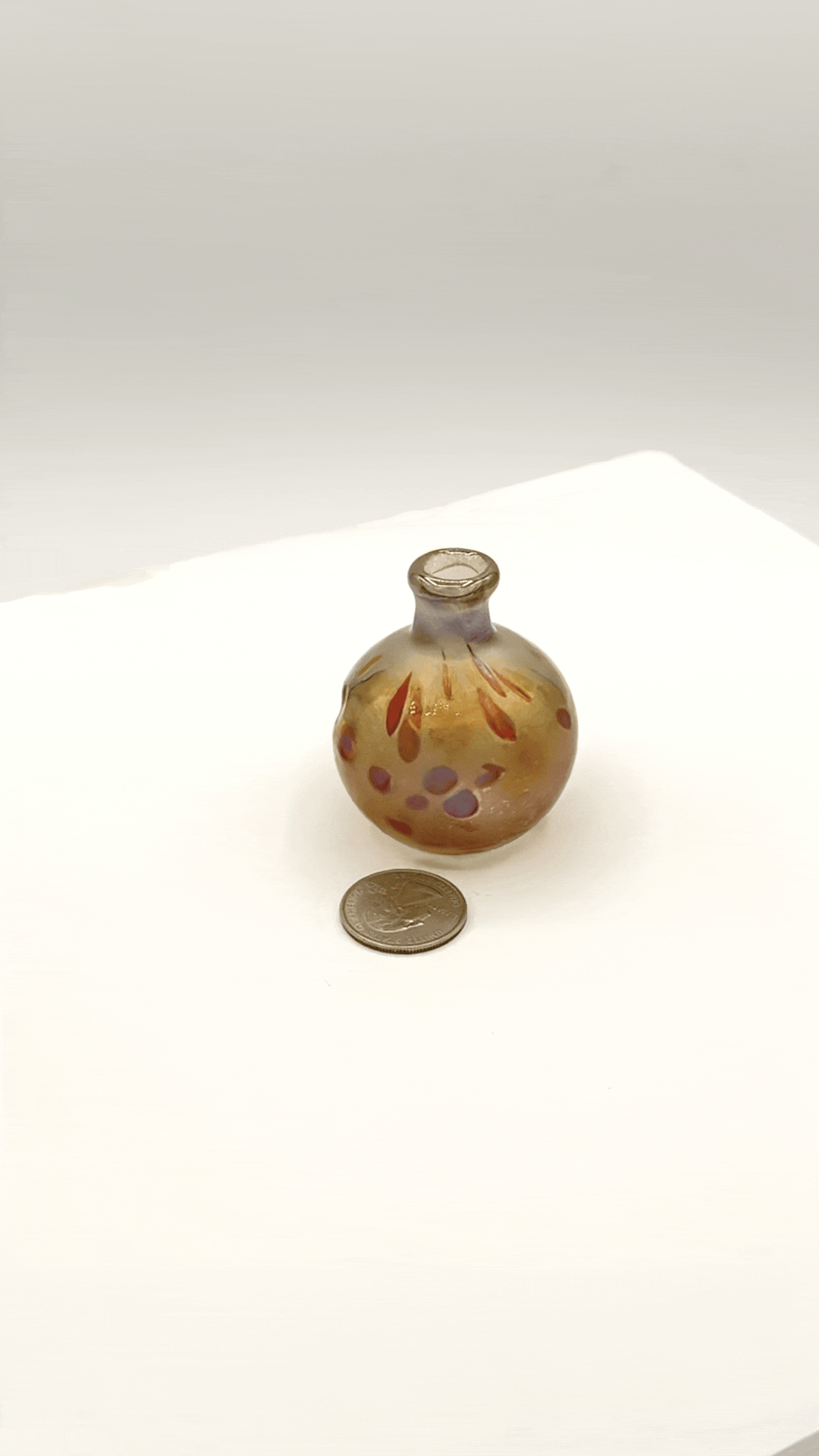 IMG_7137.gif