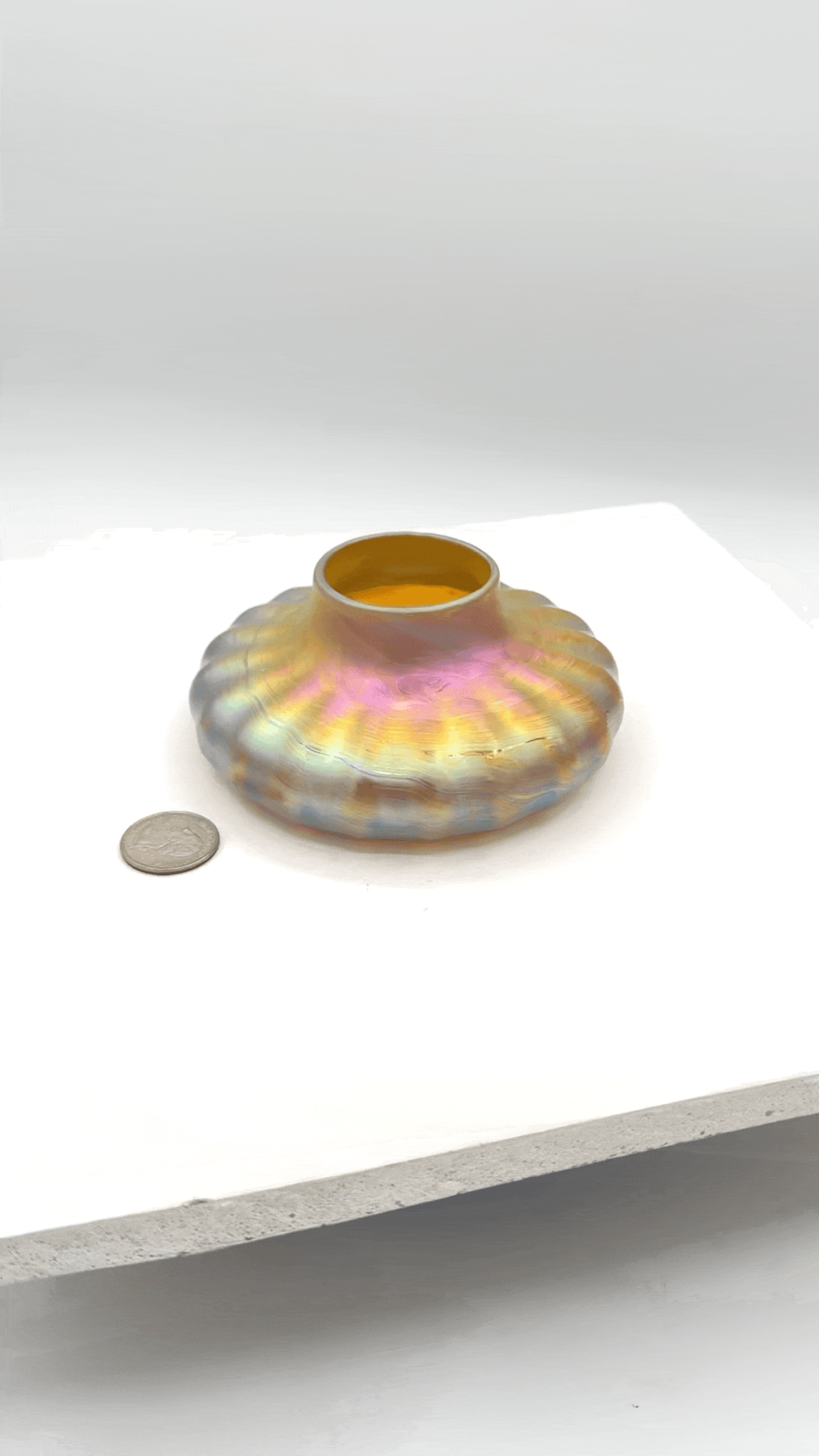 IMG_7084.gif