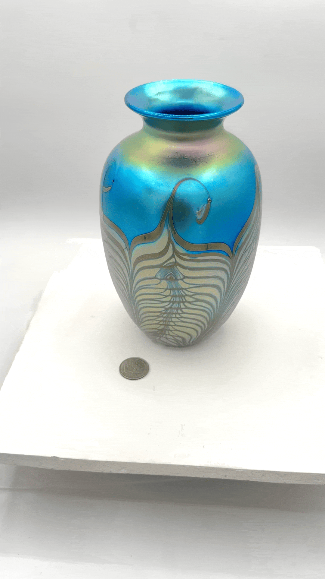 IMG_7060.gif