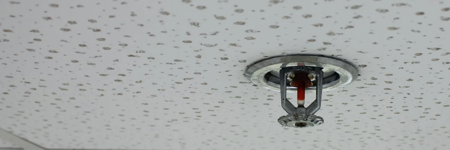 Rodger That: The Surveillance State