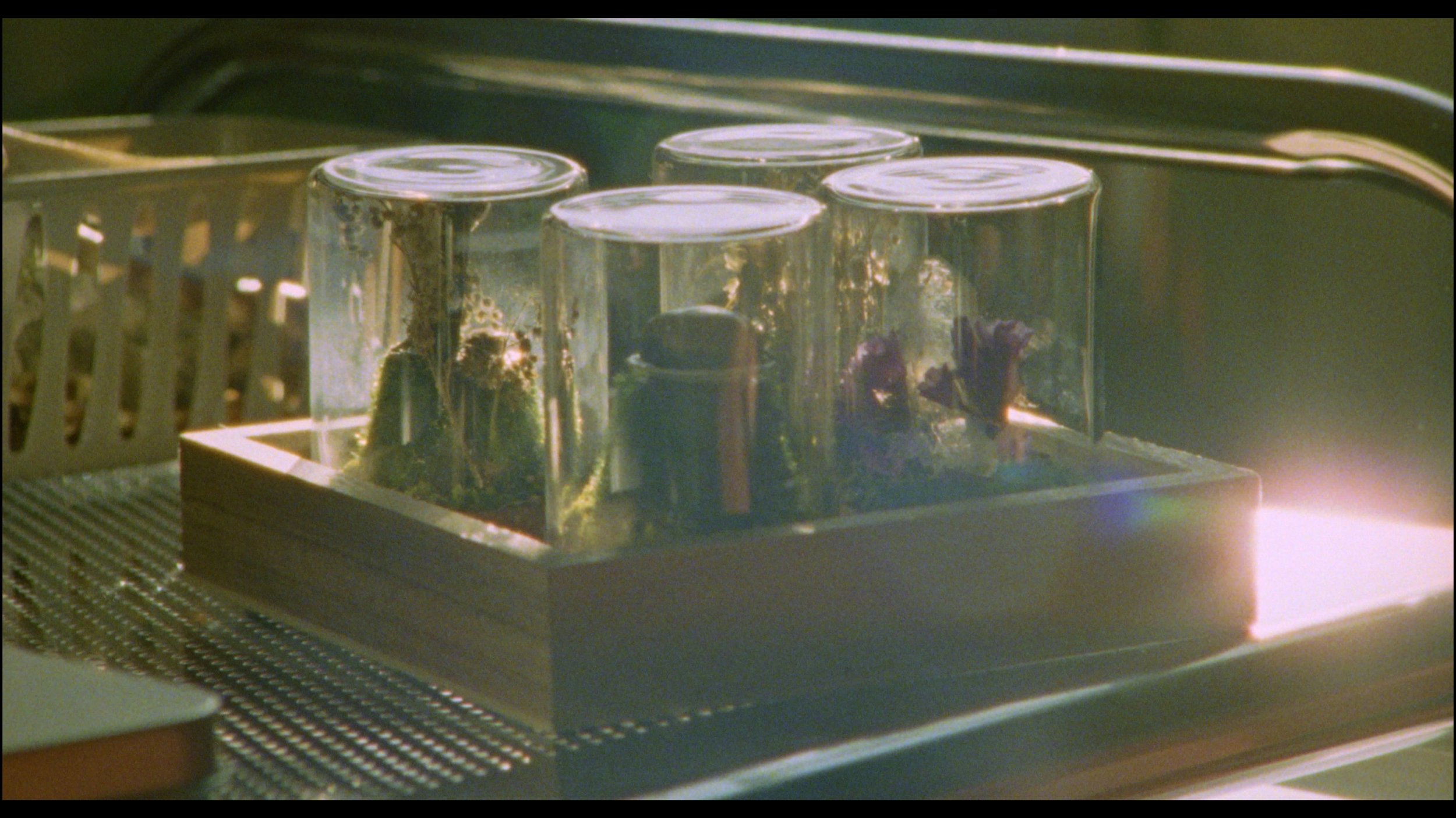 Still 2025-11-09 194913_1.23.1.jpg