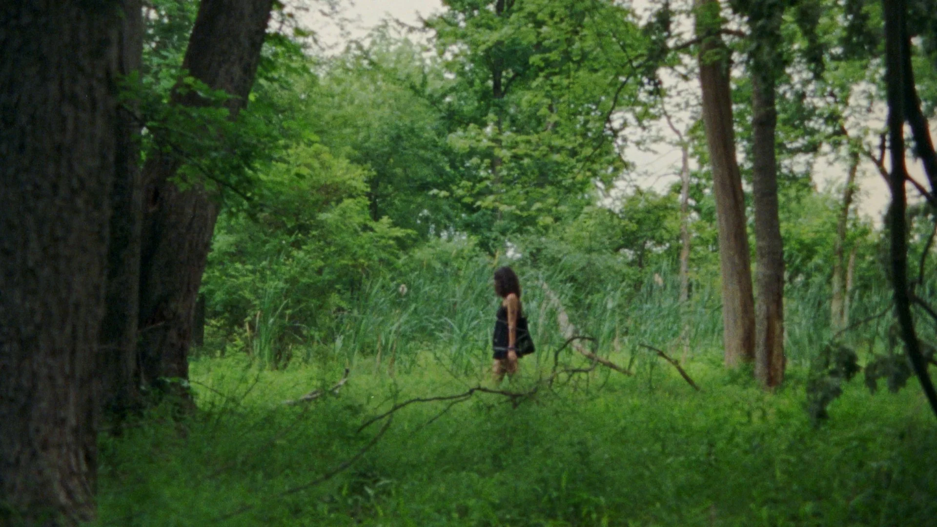 Still 2025-08-10 204439_1.11.1.jpg