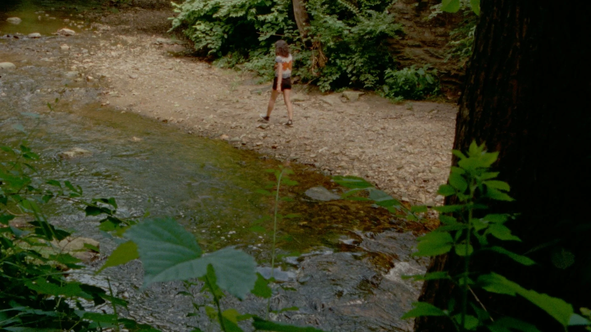 Still 2025-08-10 204439_1.51.1.jpg