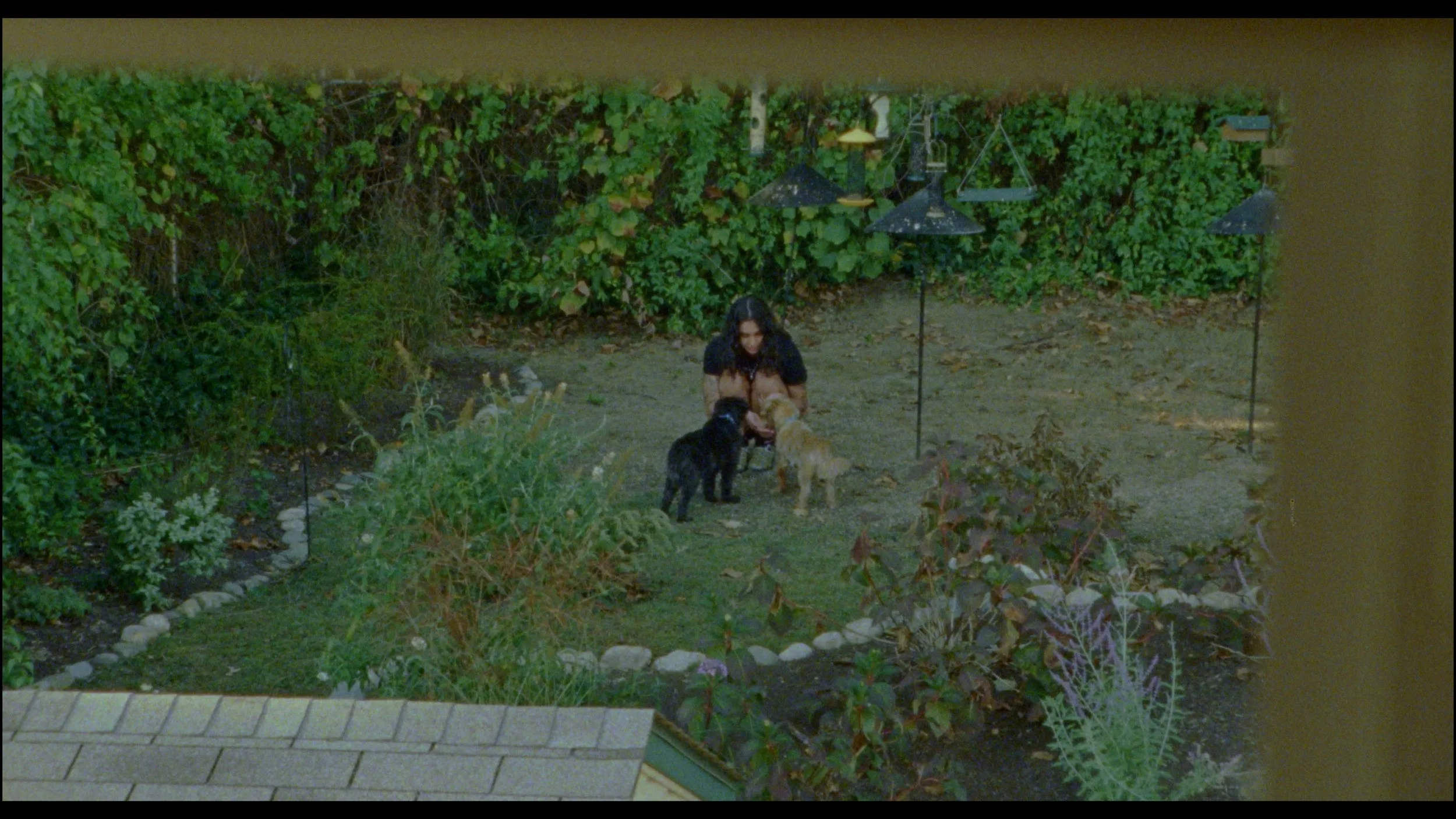 Still 2025-11-09 194913_1.22.1.jpg