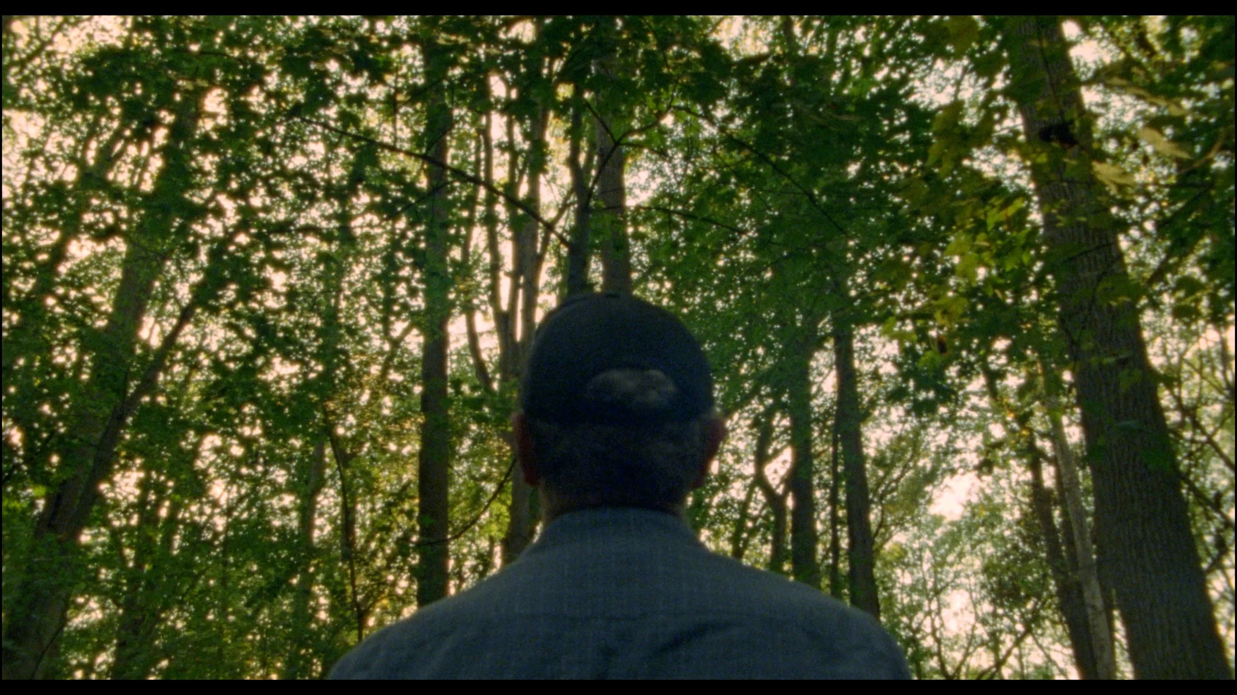 Still 2025-11-09 194913_1.6.1.jpg