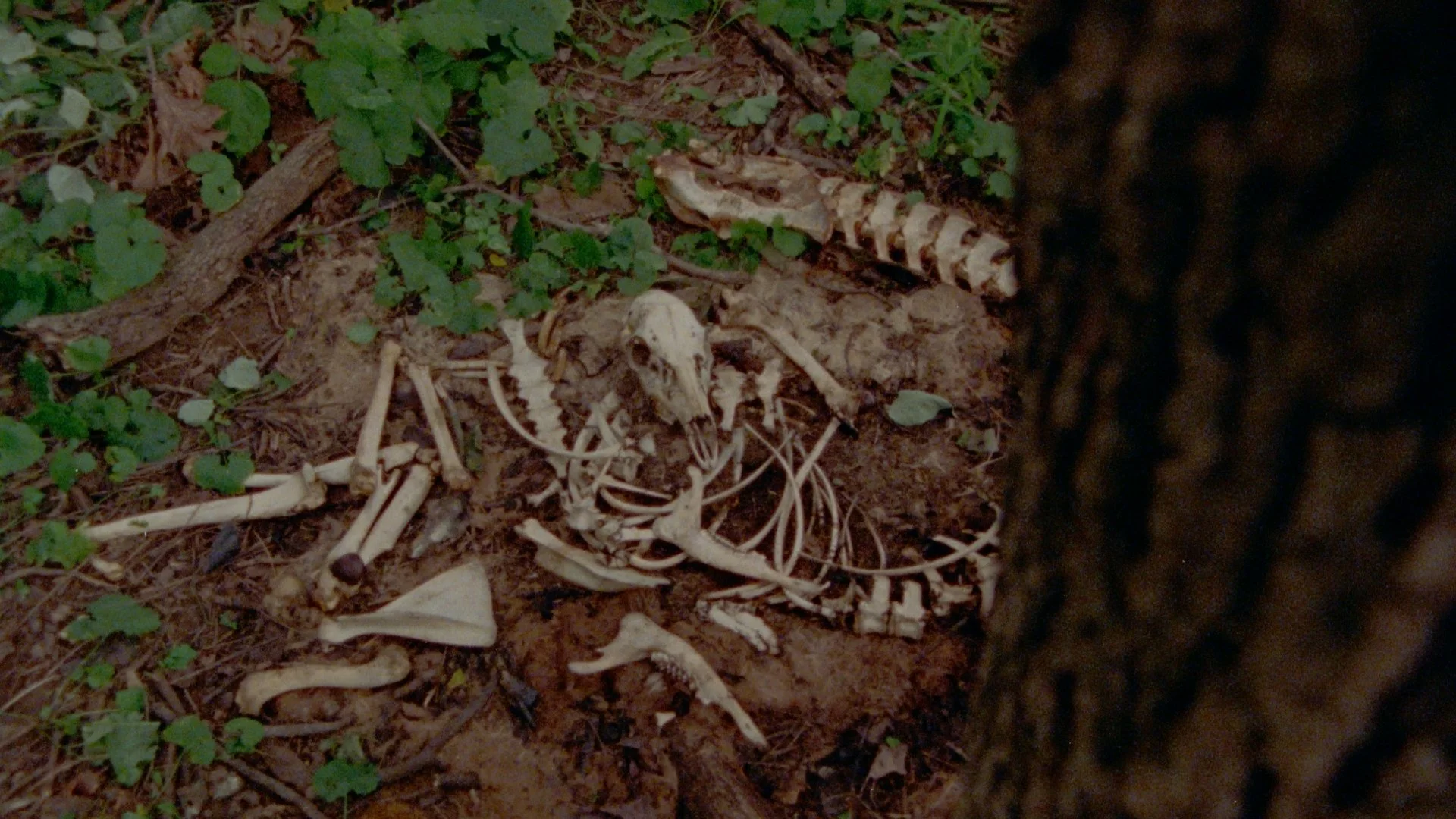 Still 2025-08-10 204439_1.2.1.jpg