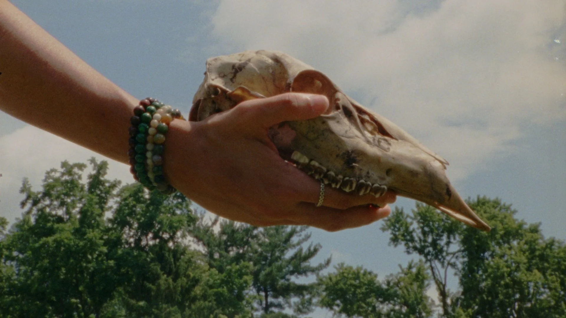 Still 2025-08-10 204439_1.54.1.jpg