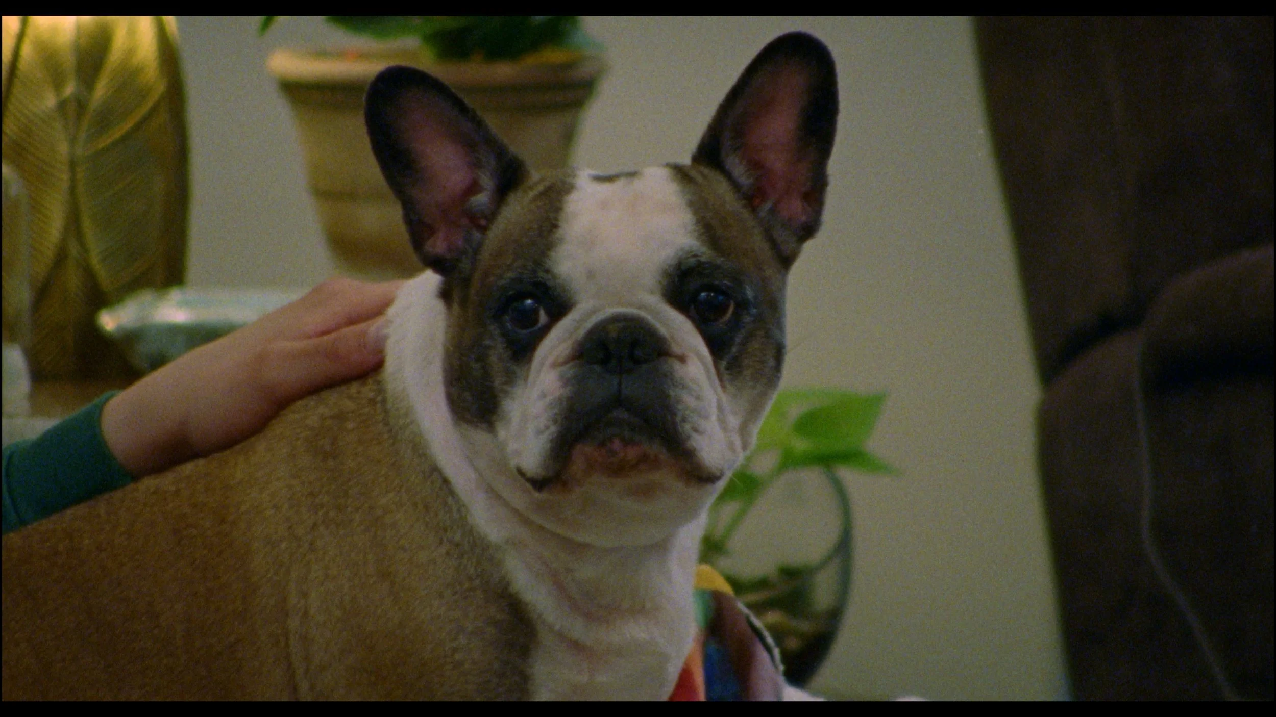 Still 2025-11-09 194913_1.12.1.jpg