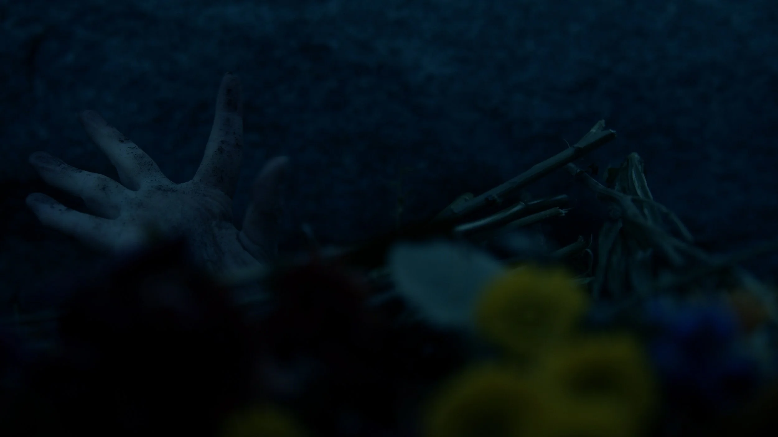 Still 2025-11-29 205020_1.37.1.jpg