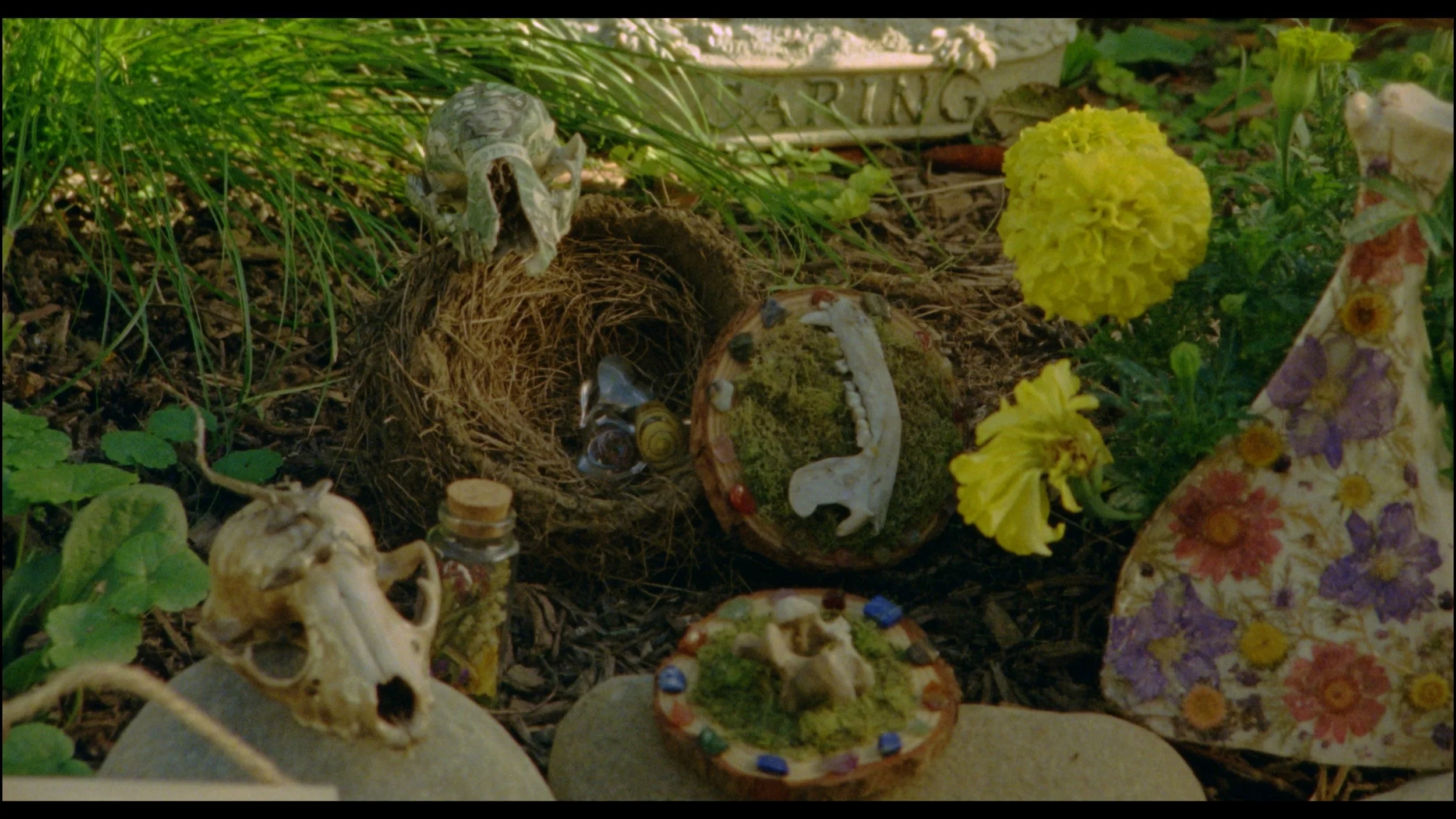 Still 2025-11-09 194913_1.48.1.jpg