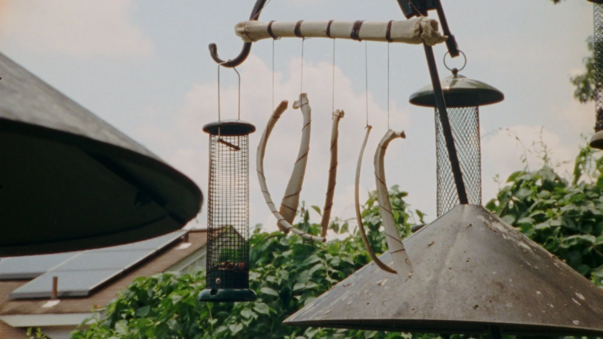 Still 2025-08-10 204439_1.57.1.jpg