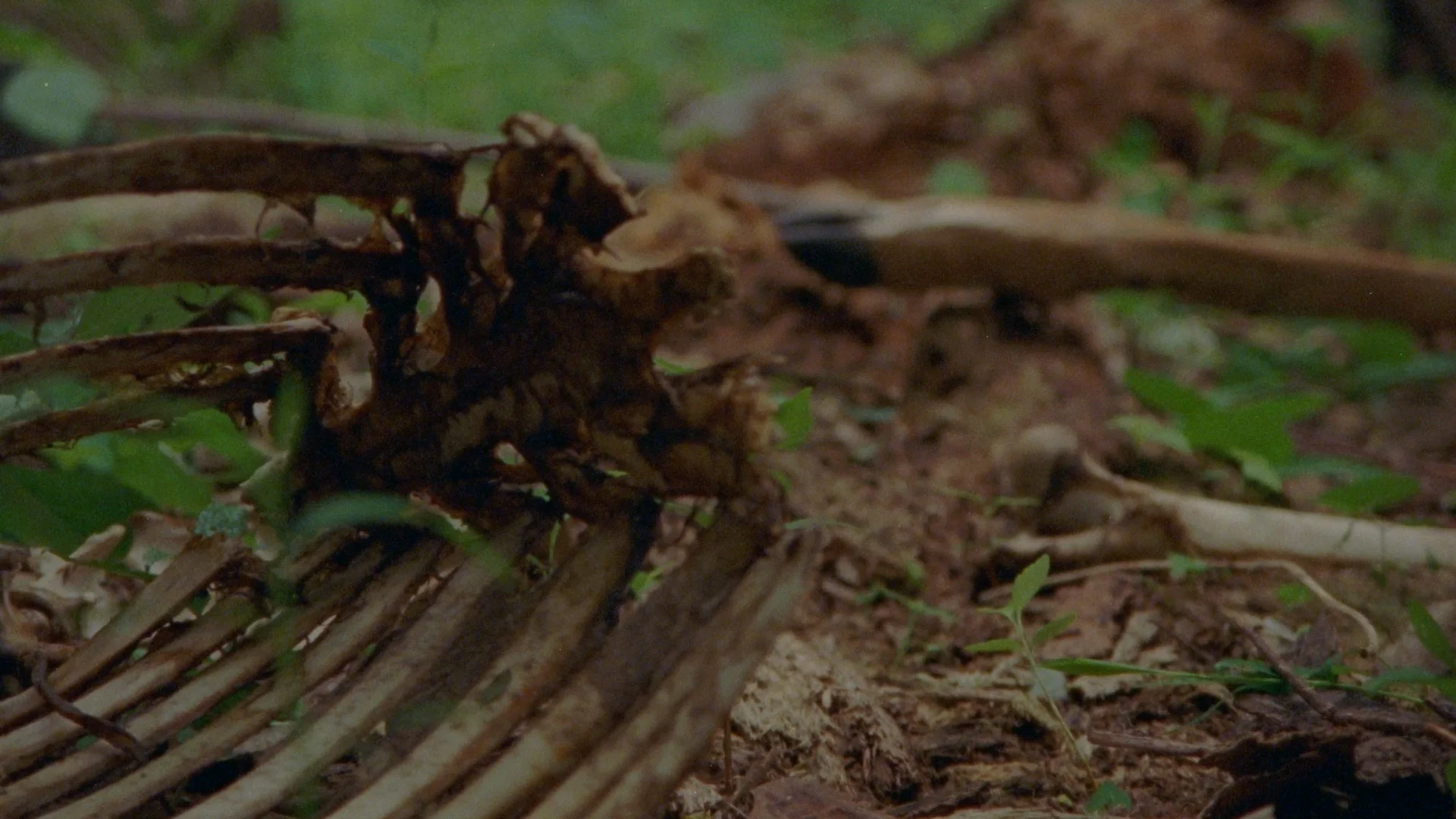 Still 2025-08-10 204439_1.9.2.jpg