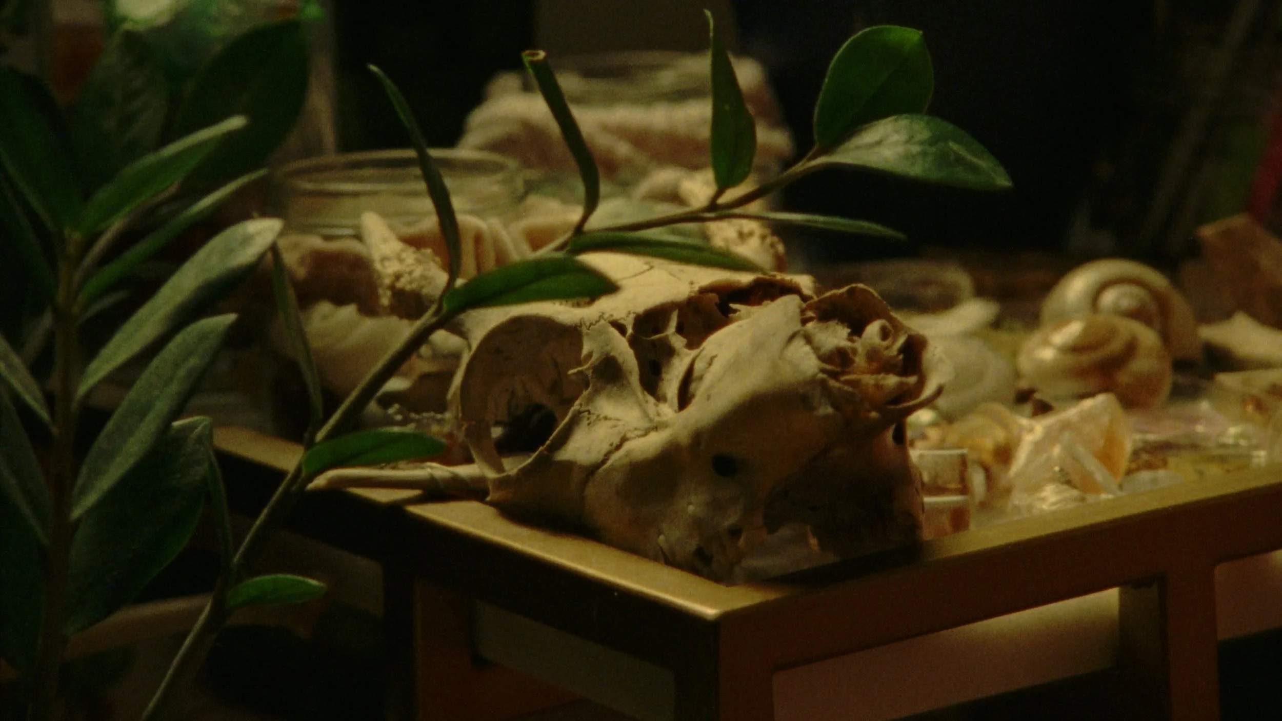 Still 2025-08-10 213208_1.31.1.jpg