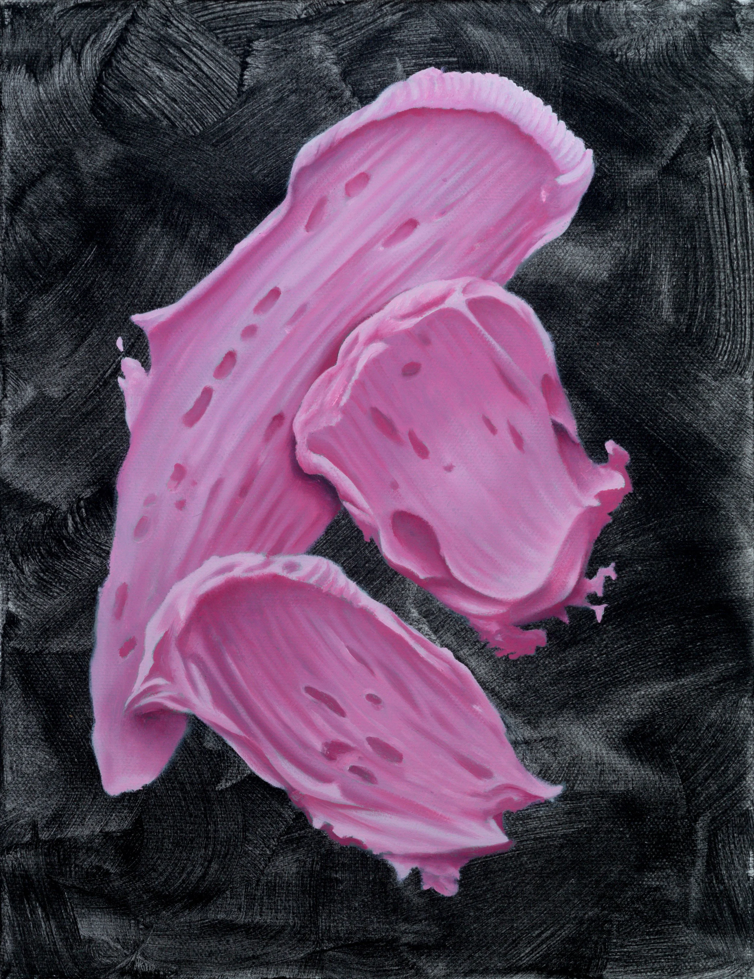 Pink frosting compilation
Oil on Canvas
30 x 23 cm
$1,000
